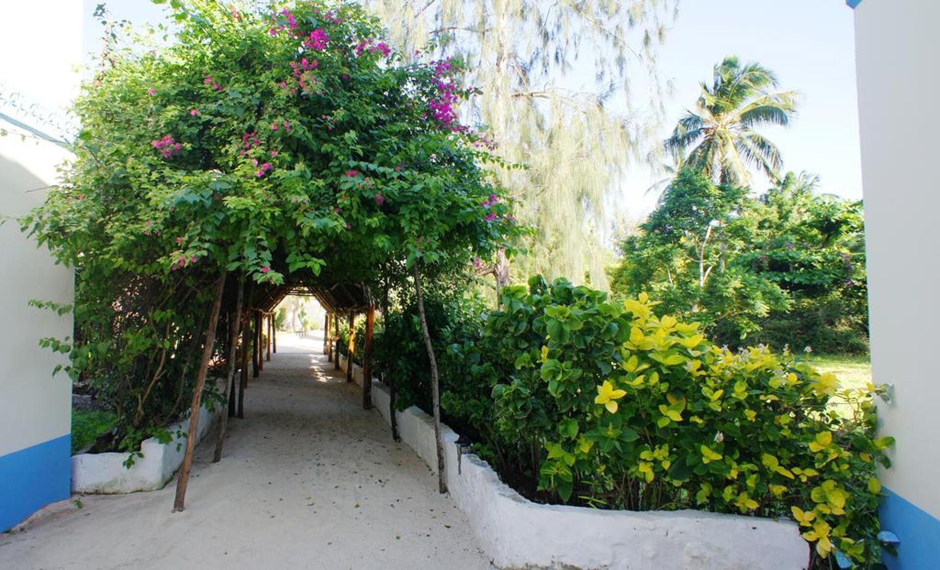 Smiles Beach Hotel 4* 14