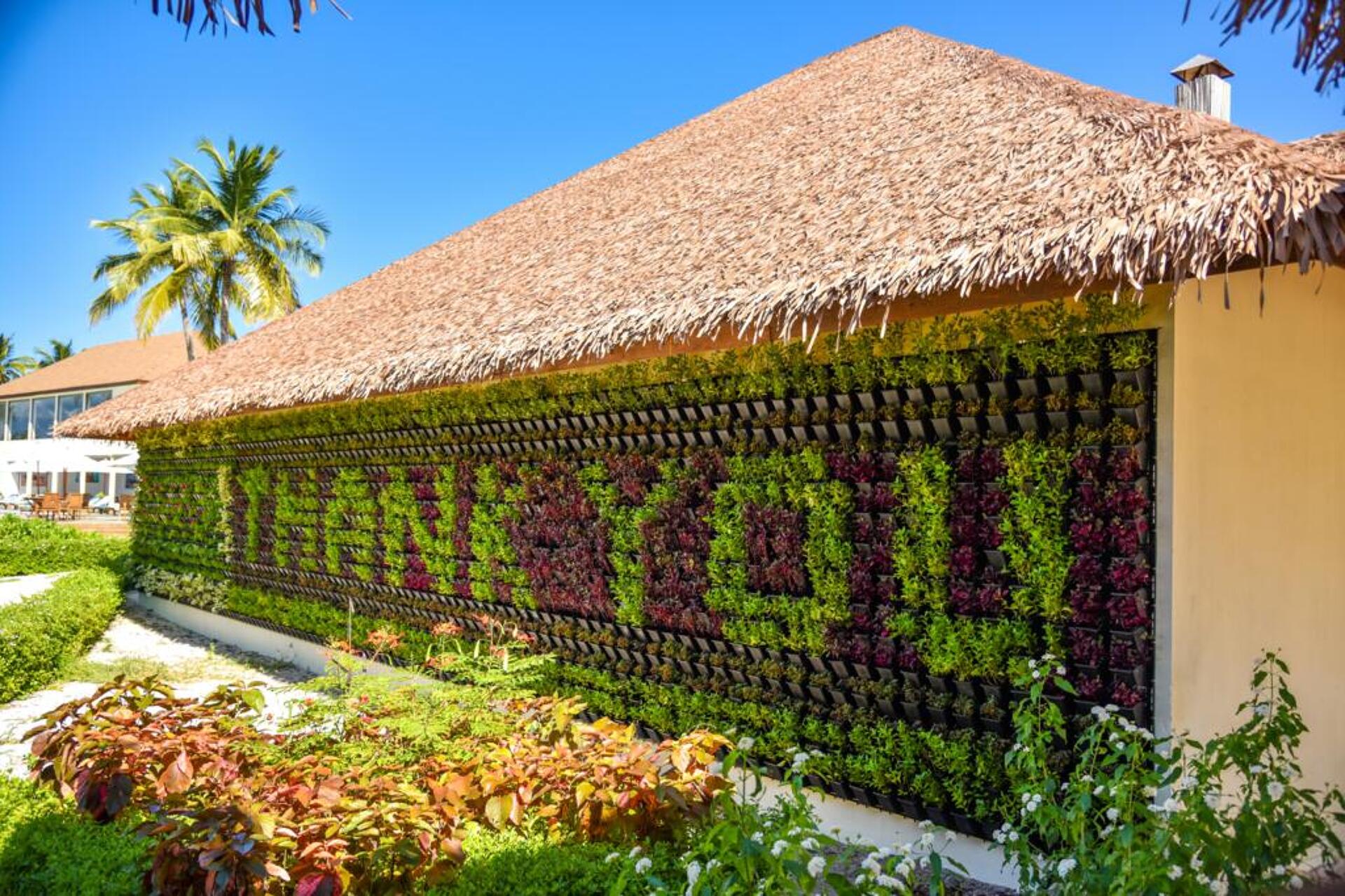 Reethi Faru Resort 9