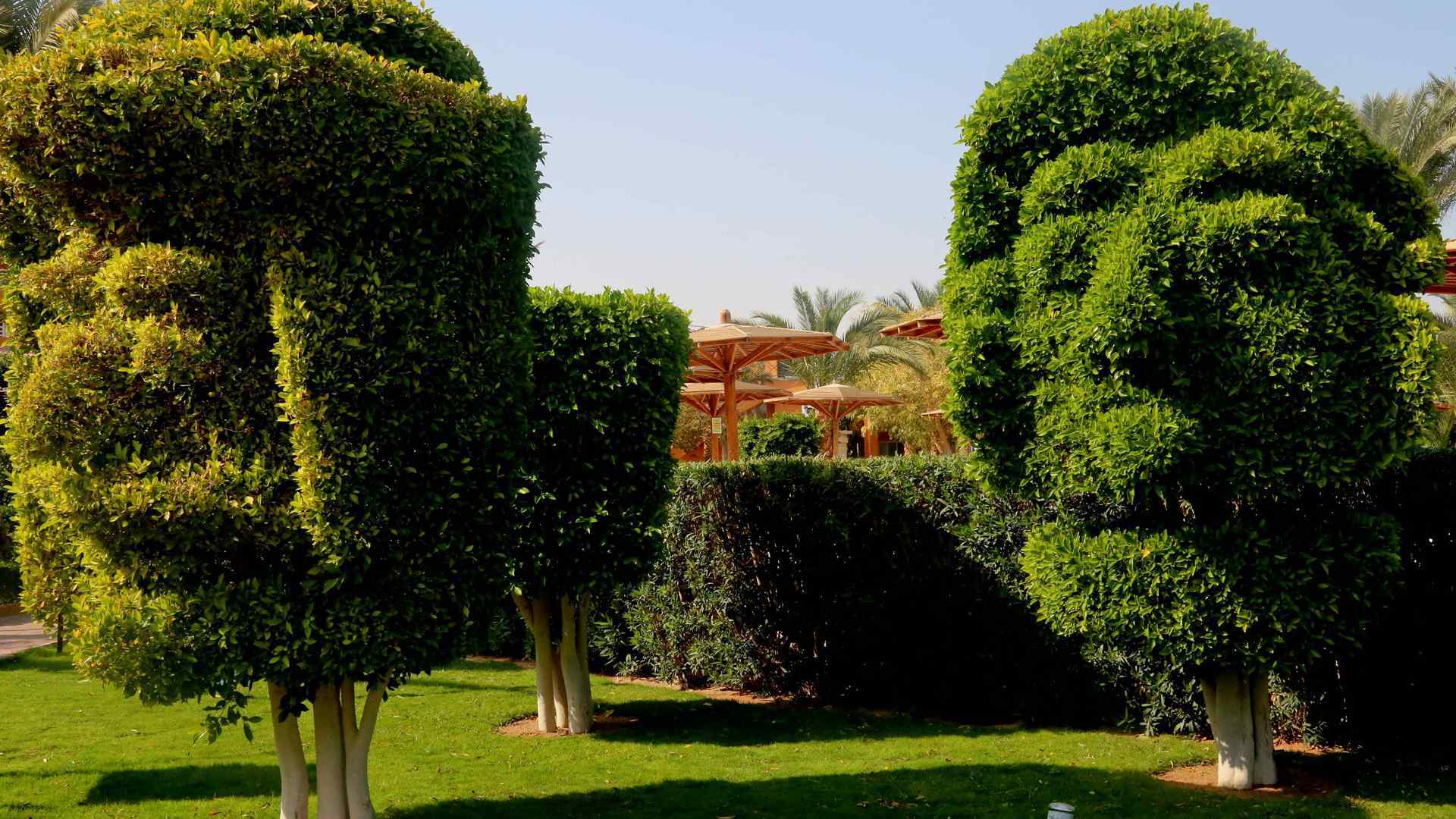 Golden Beach Resort 4* 54
