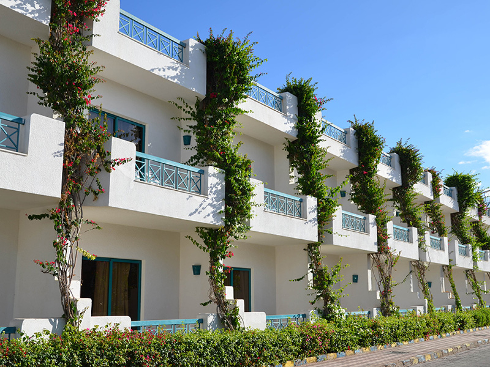 Sharm Cliff Resort 4* 6