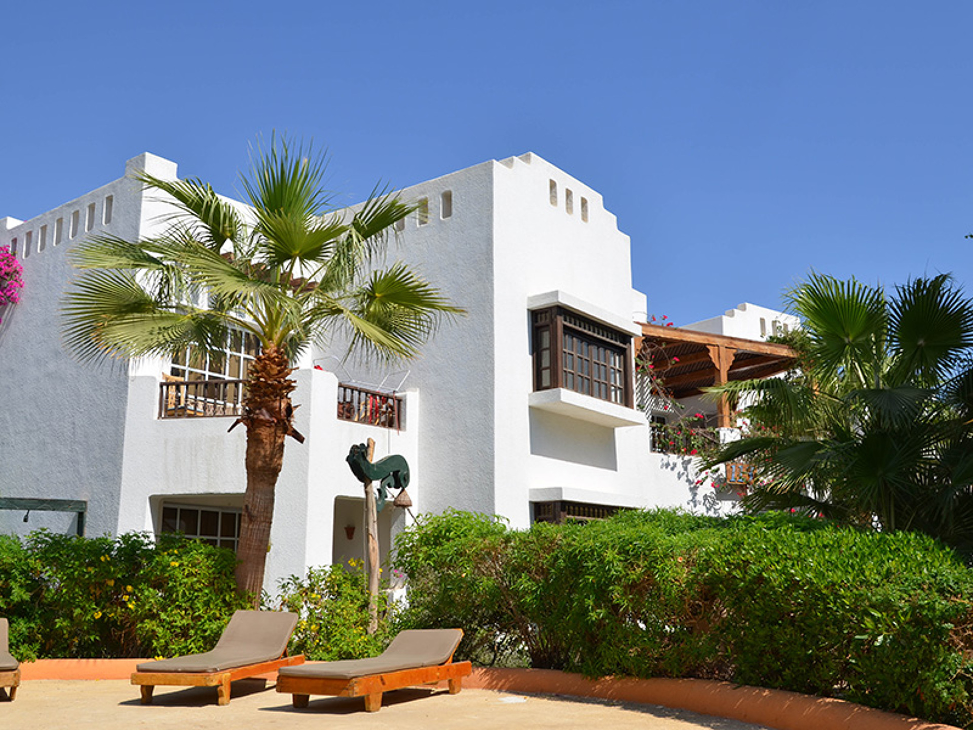 Delta Sharm 4* 43