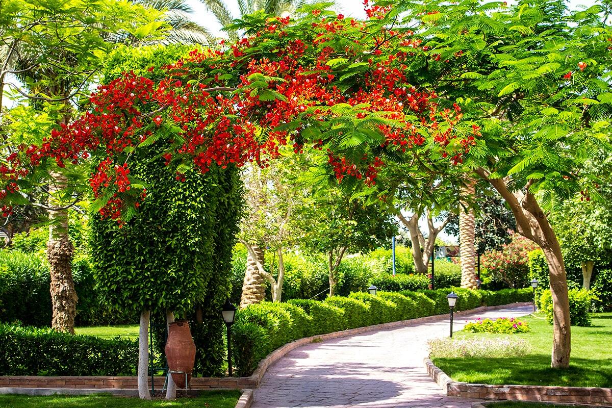 Golden Beach Resort 4* 3