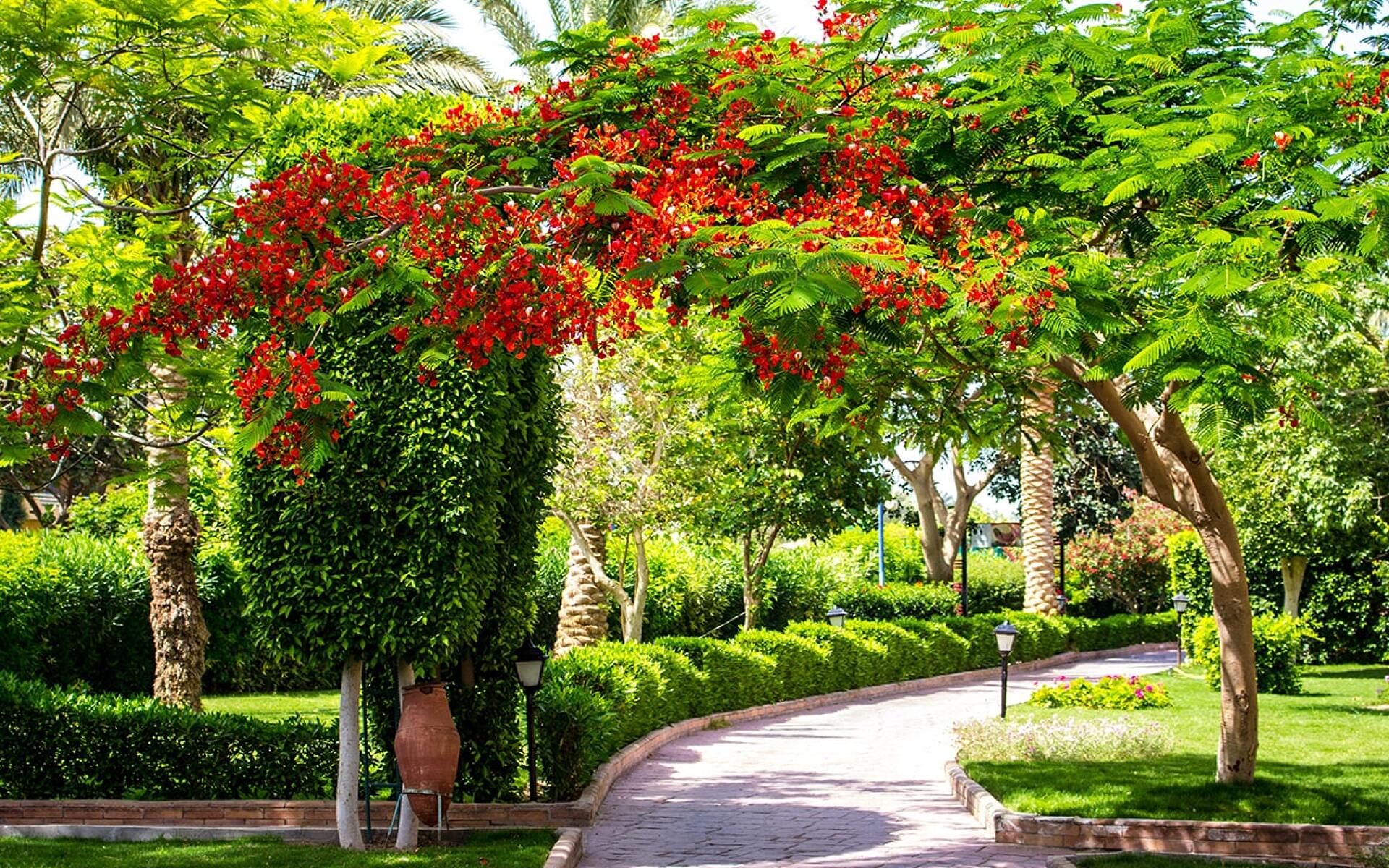 Golden Beach Resort 4* 3
