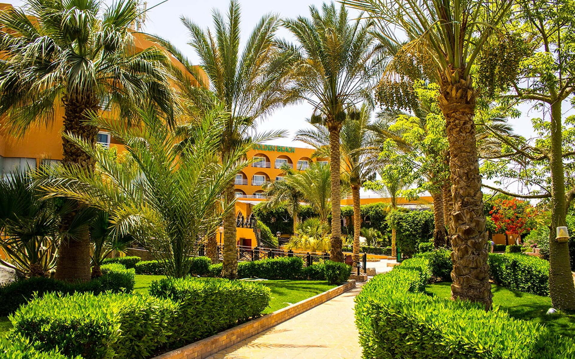 Golden Beach Resort 4* 9