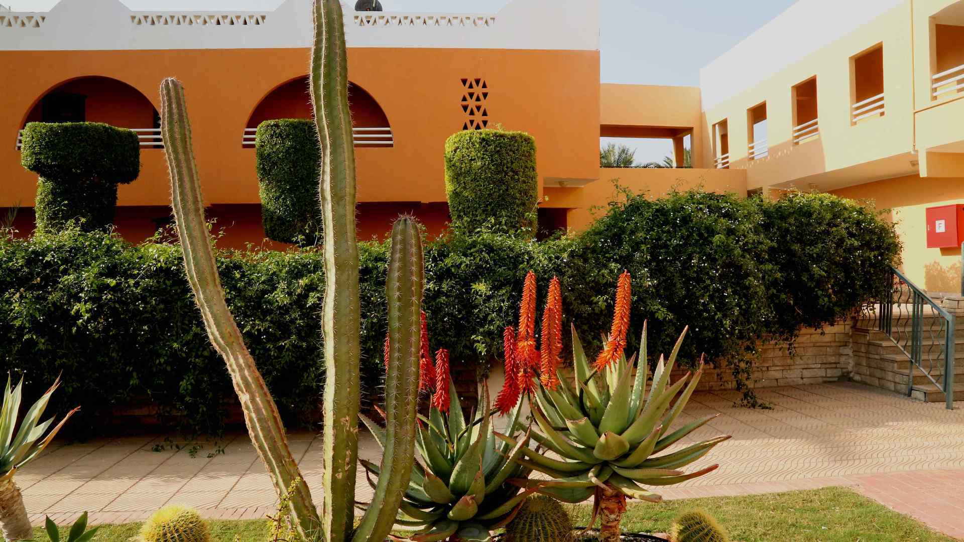 Golden Beach Resort 4* 56