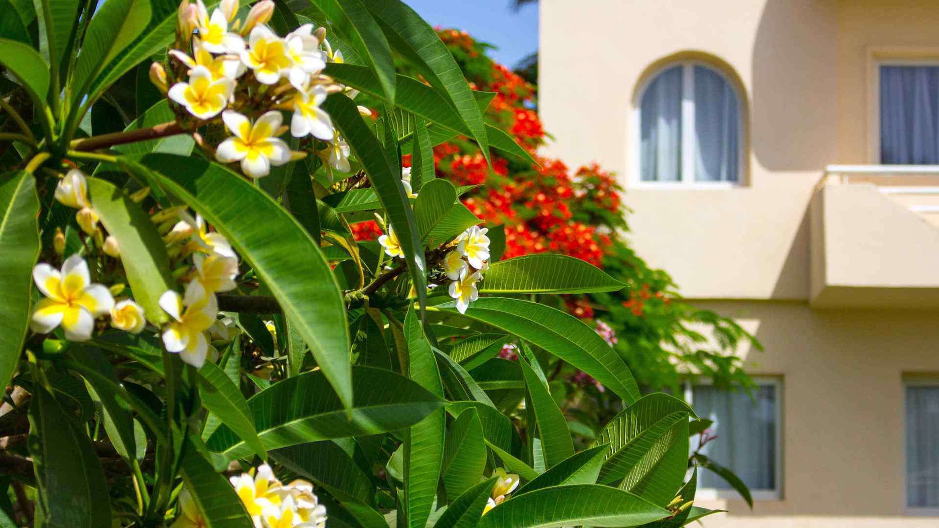 Golden Beach Resort 4* 52