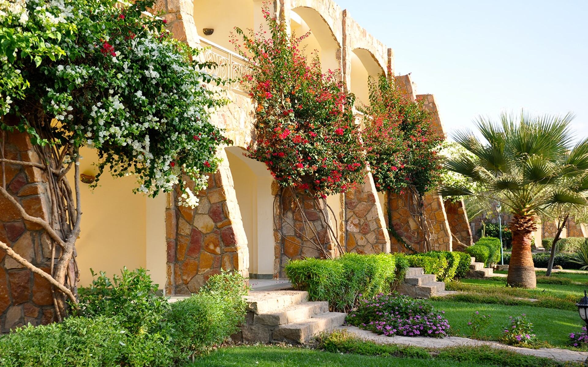 Brayka Bay Reef Resort 5* 24