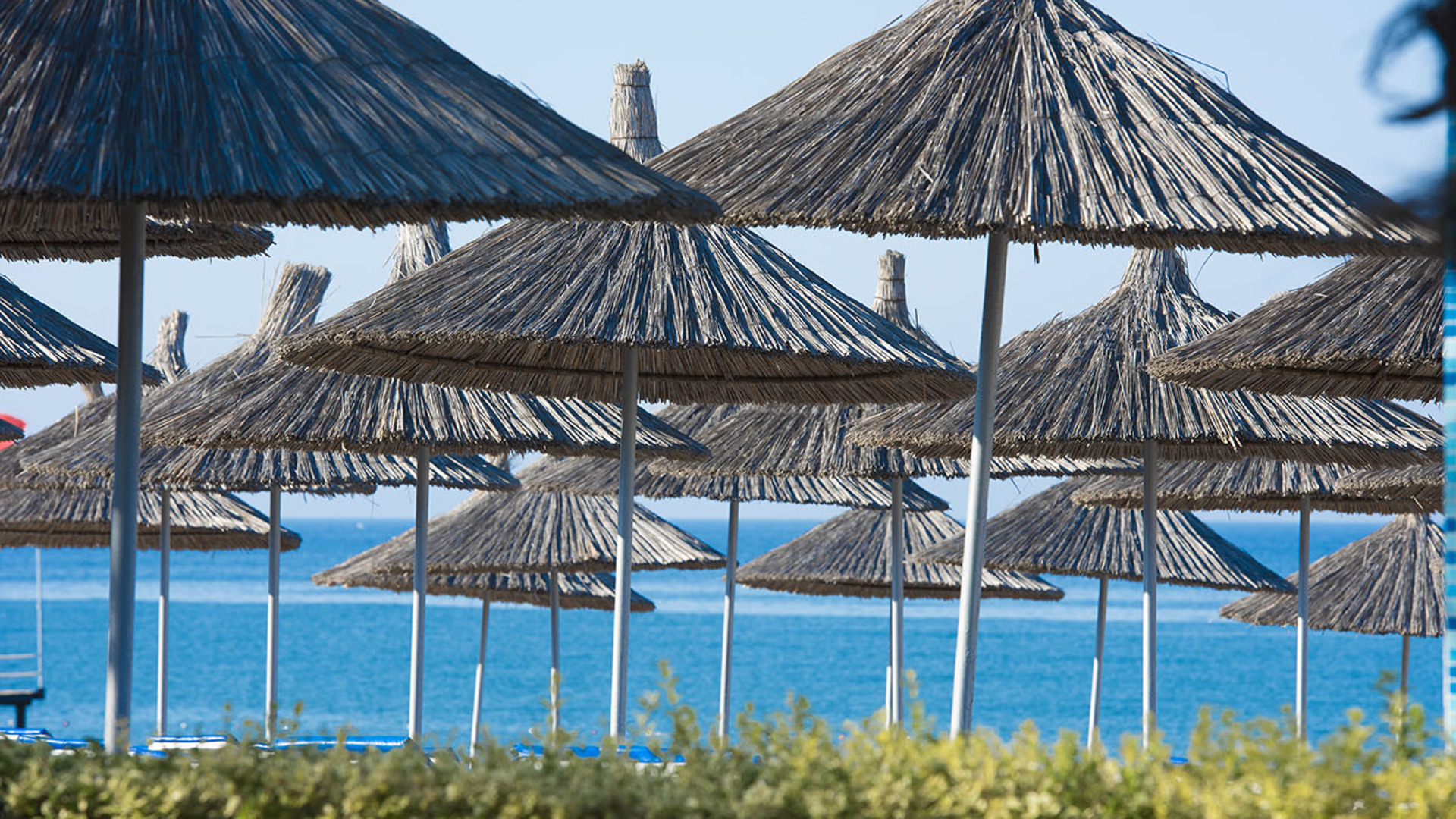 Quattro Beach Spa & Resort 5* 28