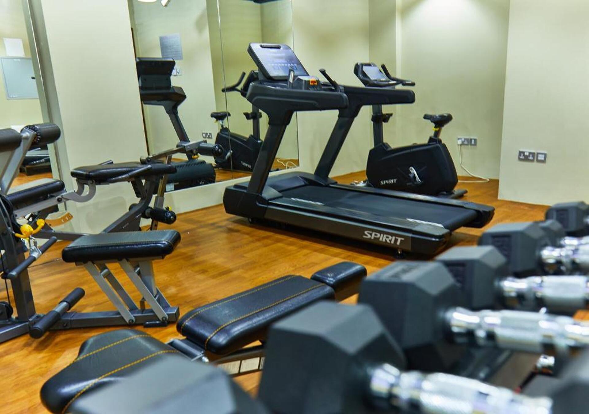 Rose Plaza Hotel Al Barsha 3* 27
