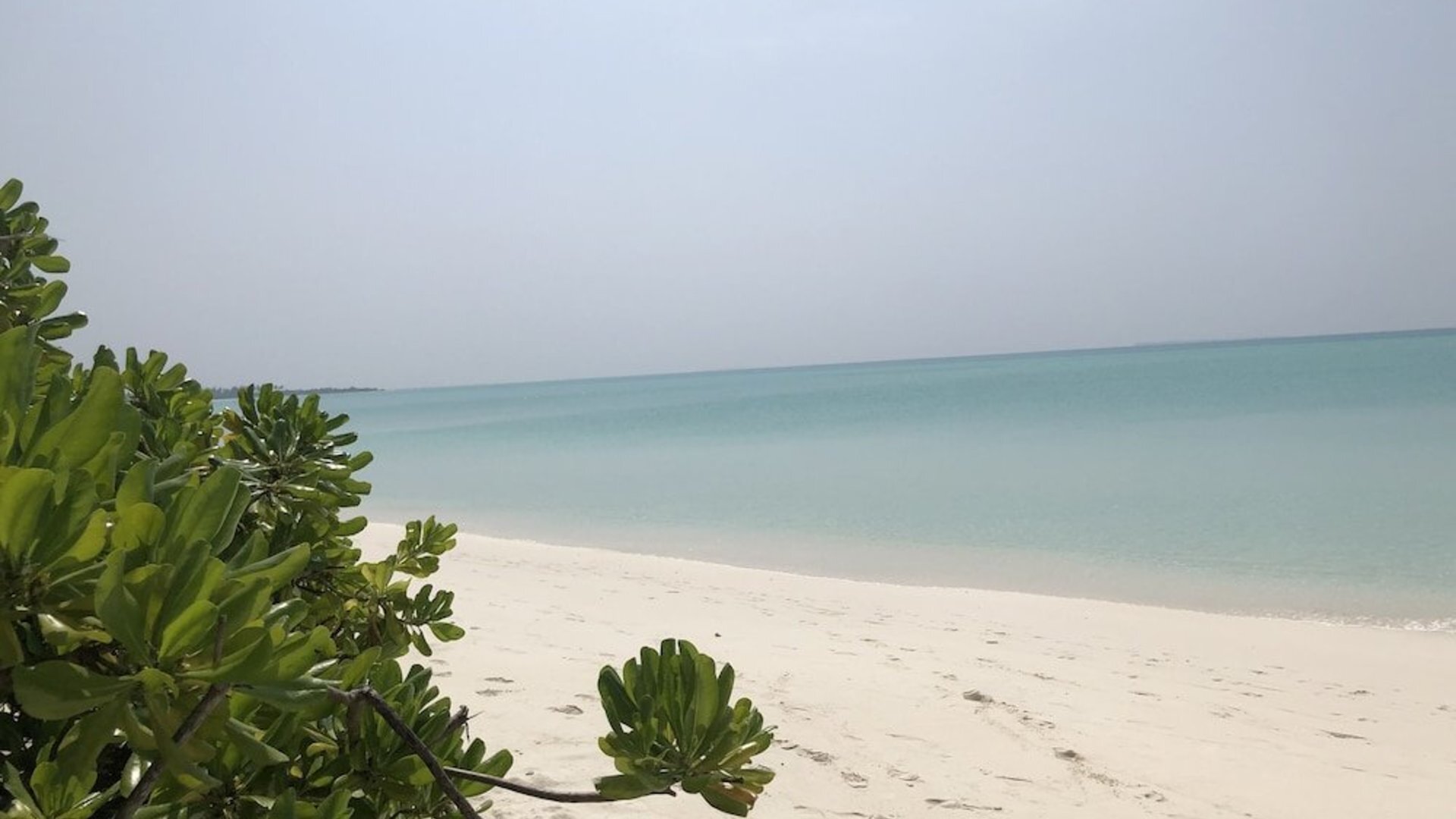 Tropical Sands Kelaa 3* 14