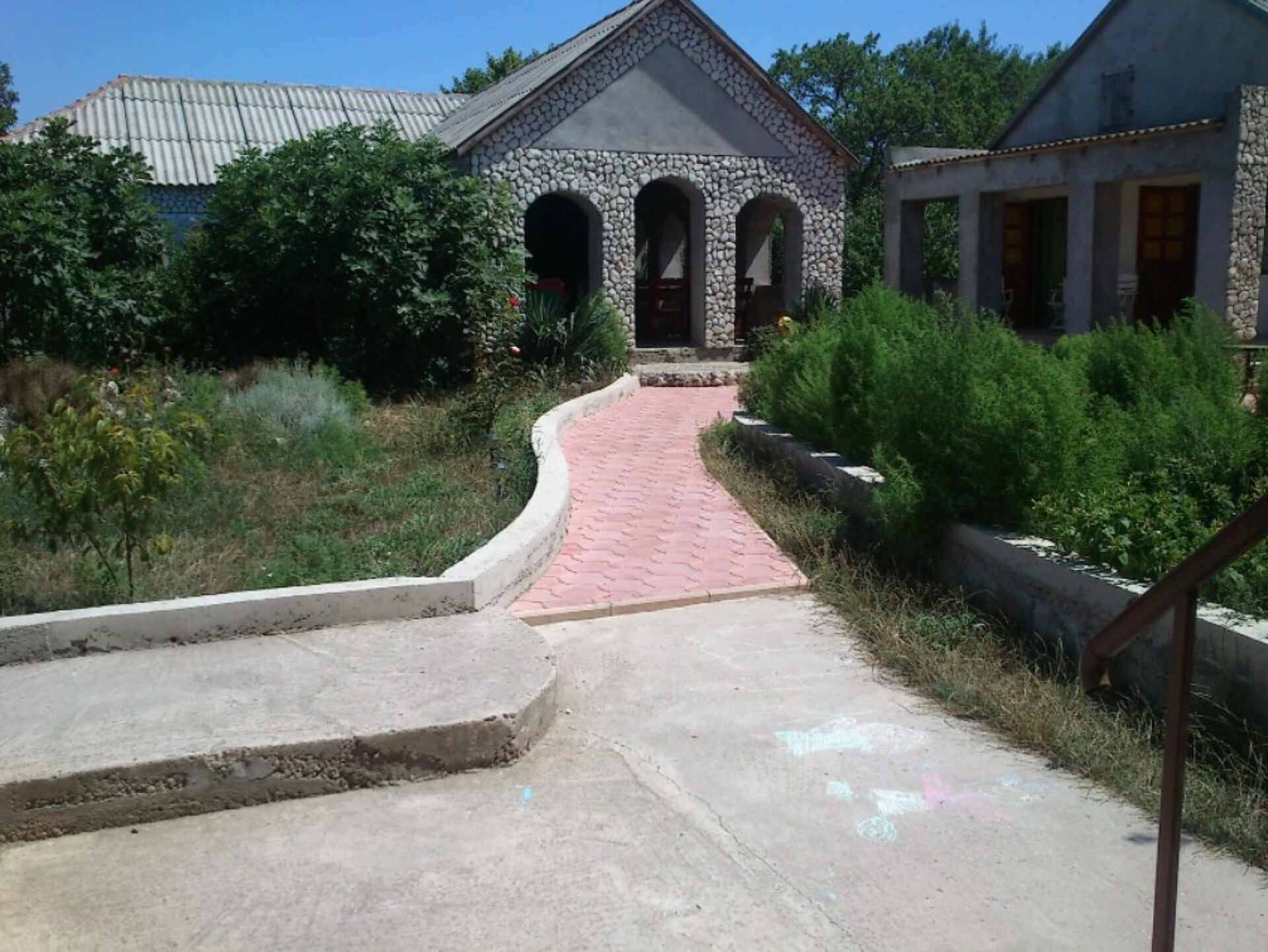 Дельфин 2* 1