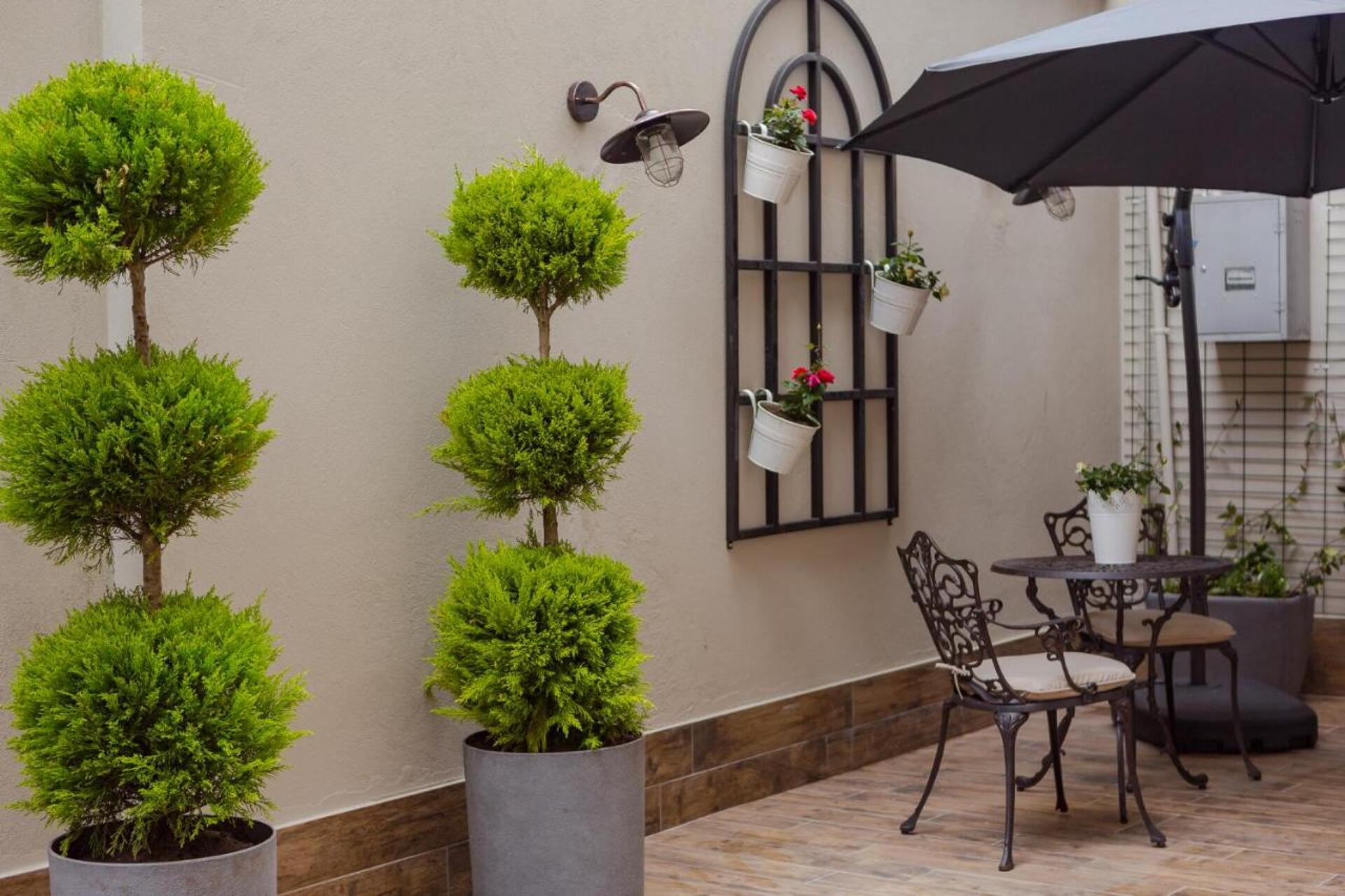 Bloom Hotel 4* 32