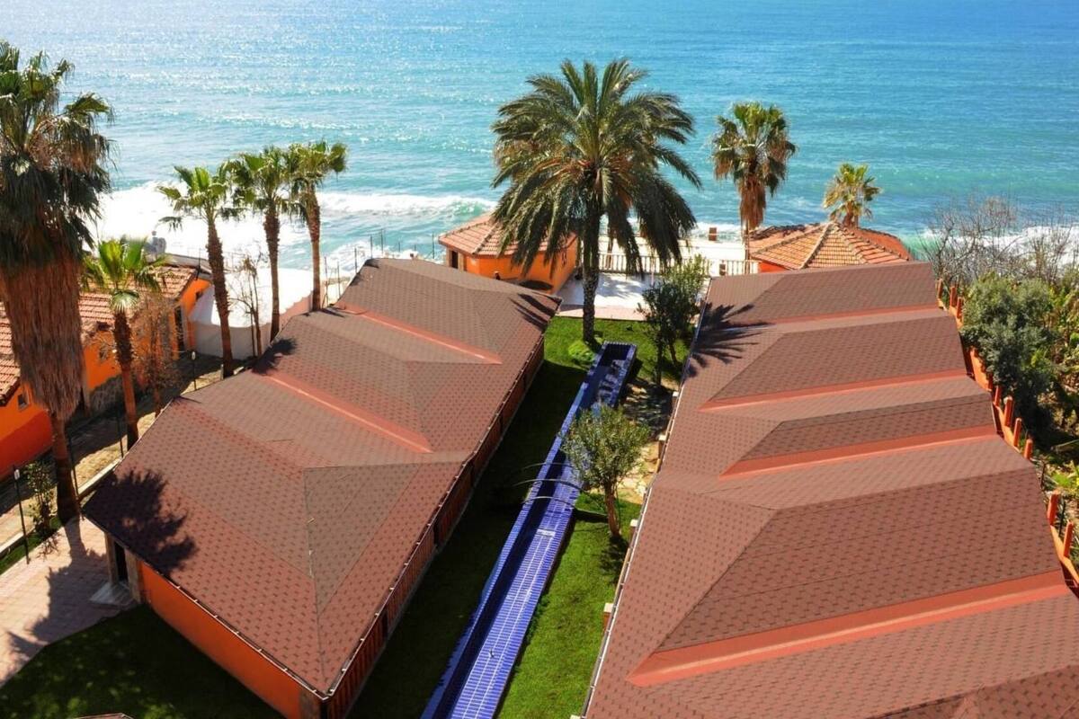 Club Star Beach 3* 1