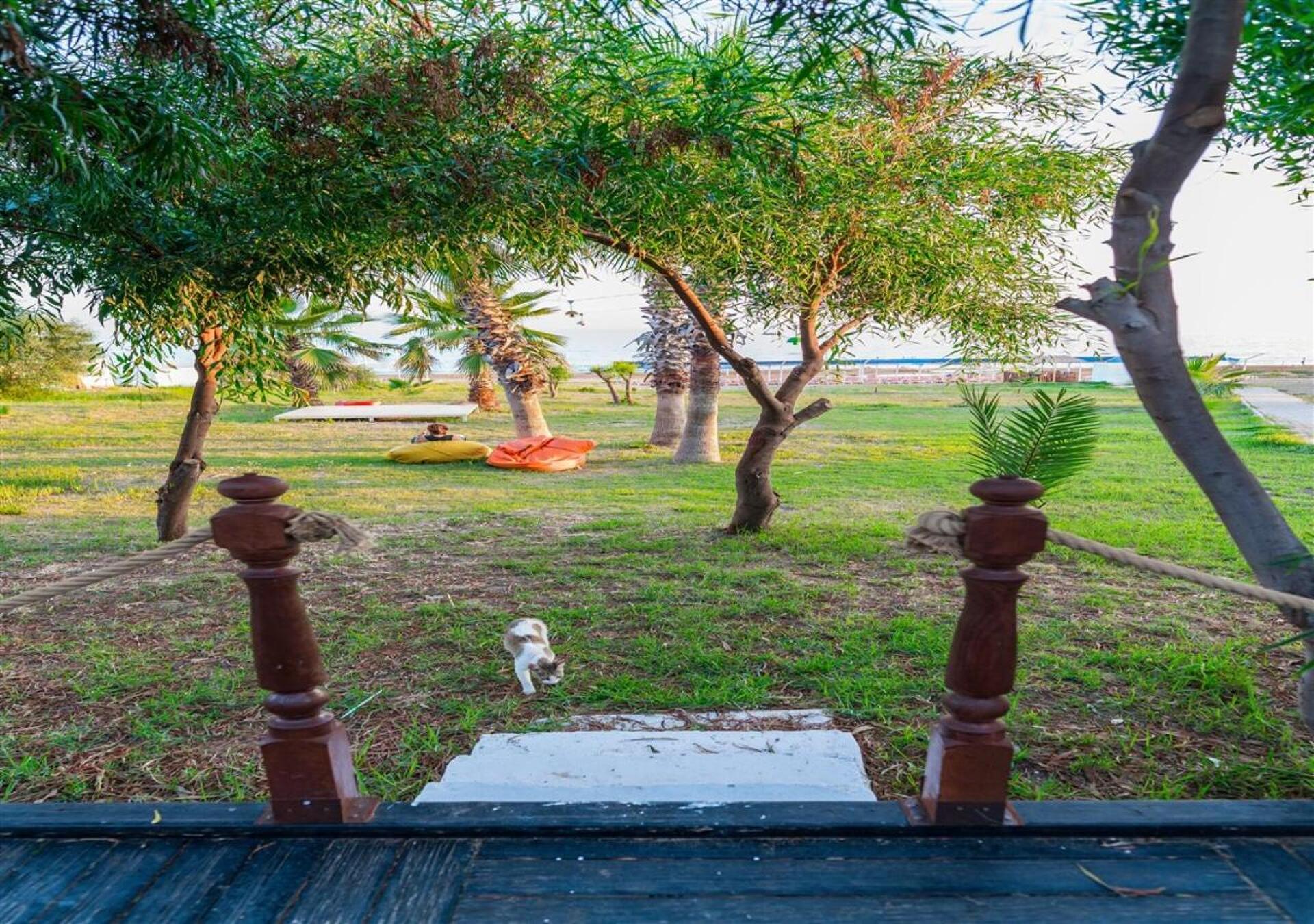 Nergos Garden 4* 18