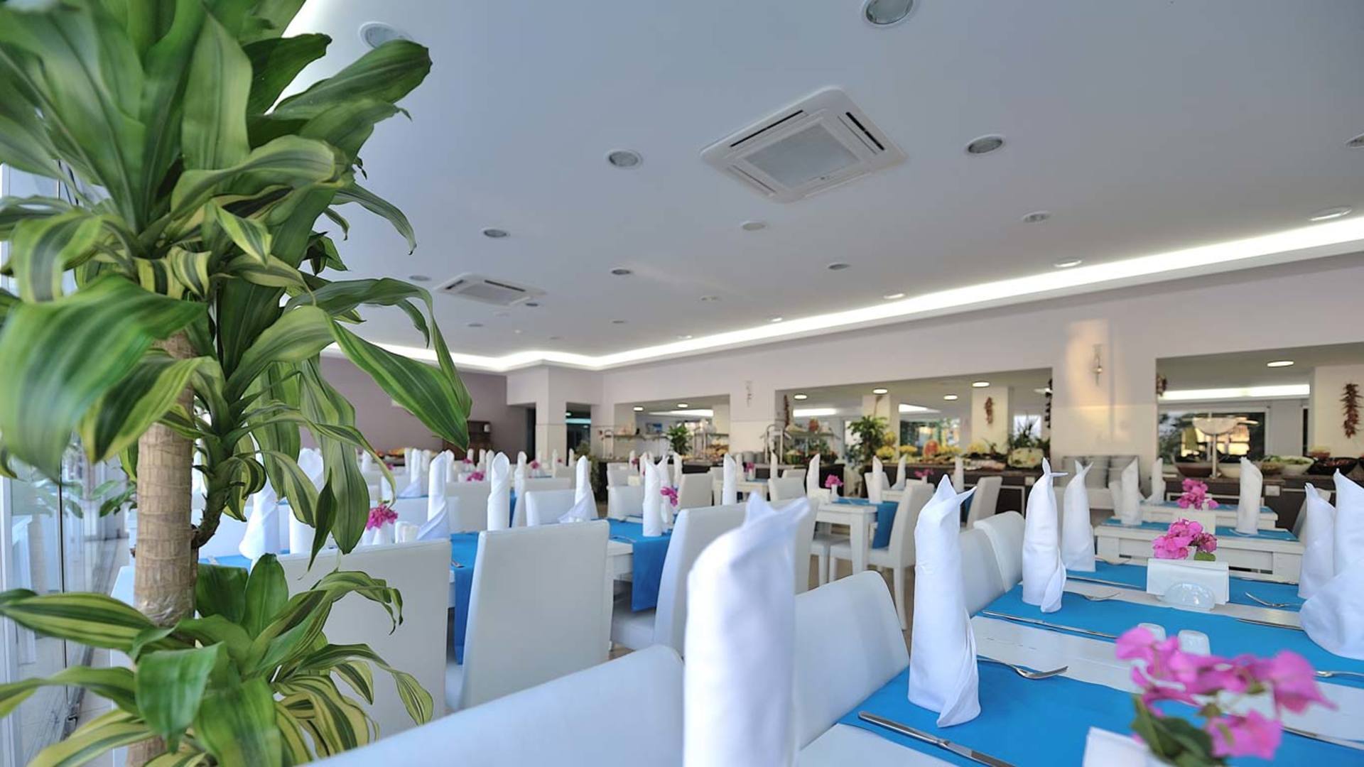 Bitez Garden Life Hotel Bodrum 3* 55