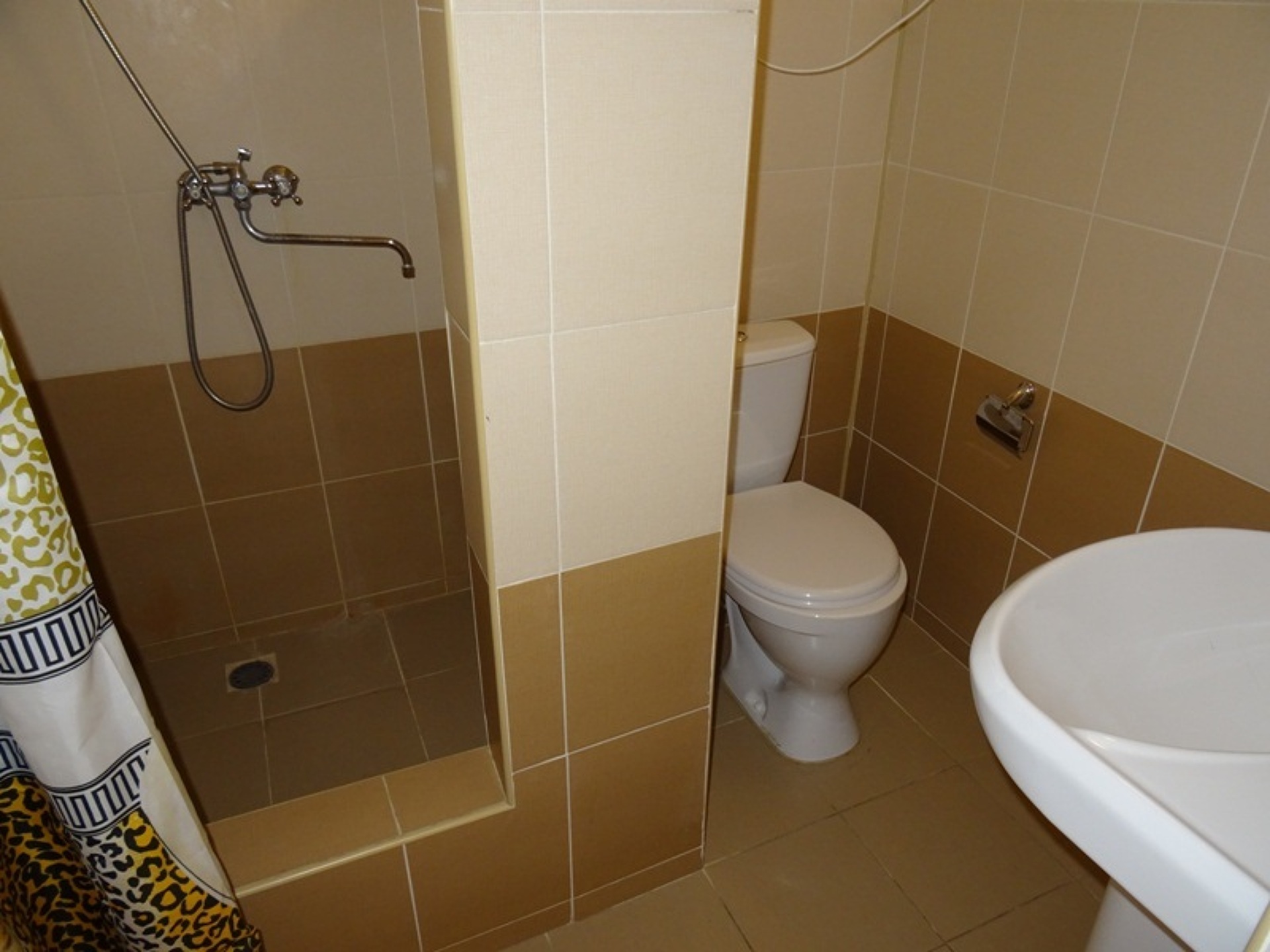 Цитрус 3* 53