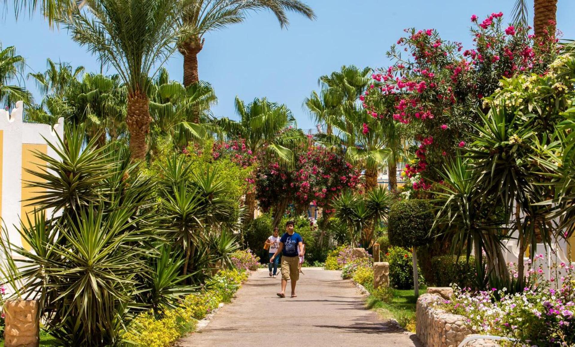 Mirage Bay Resort & Aqua Park 4* 41