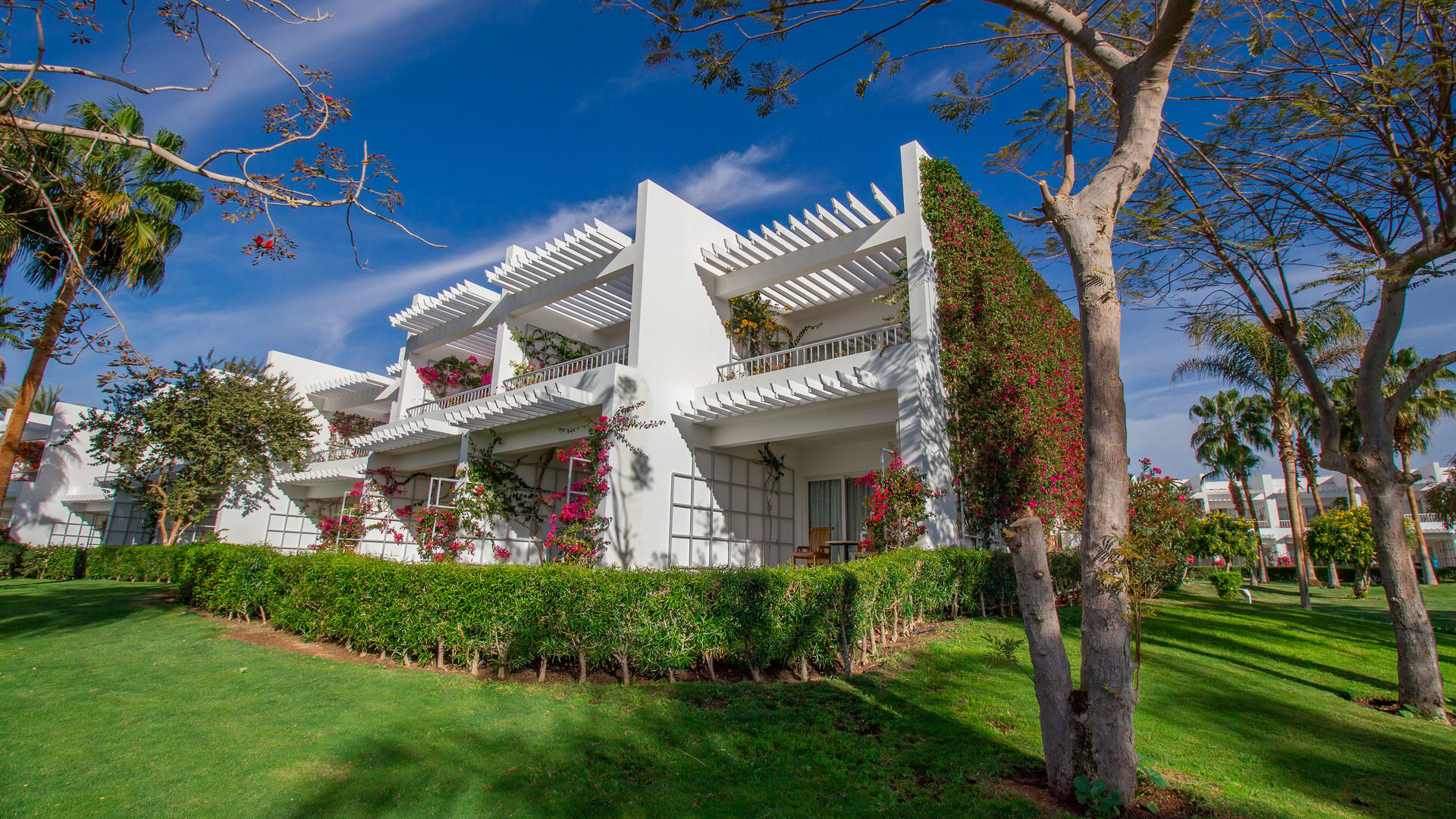 Monte Carlo Sharm Resort & Spa 5* 3