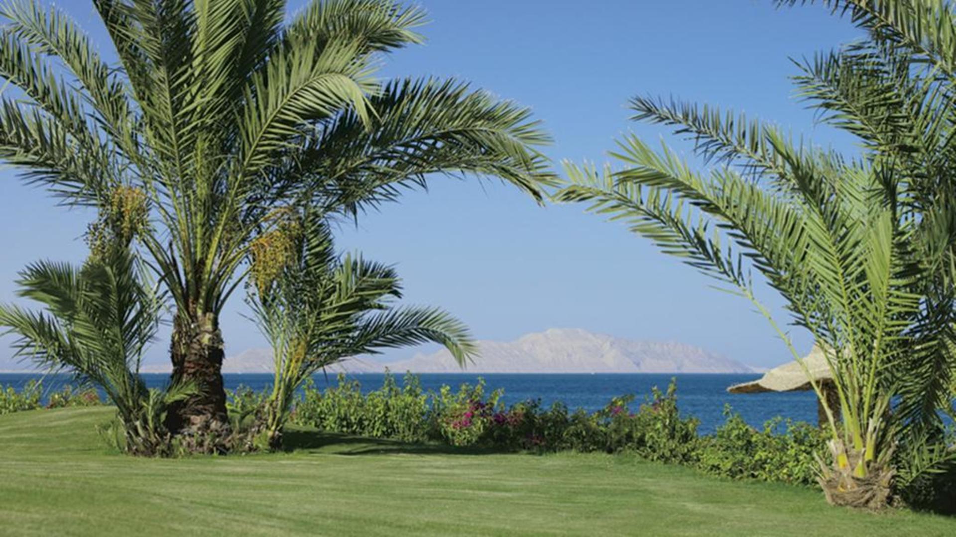 Monte Carlo Sharm Resort & Spa 5* 32