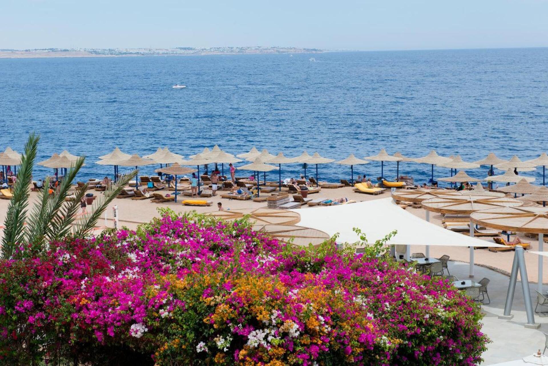 Otium Inn Amphoras Aqua Resort 16