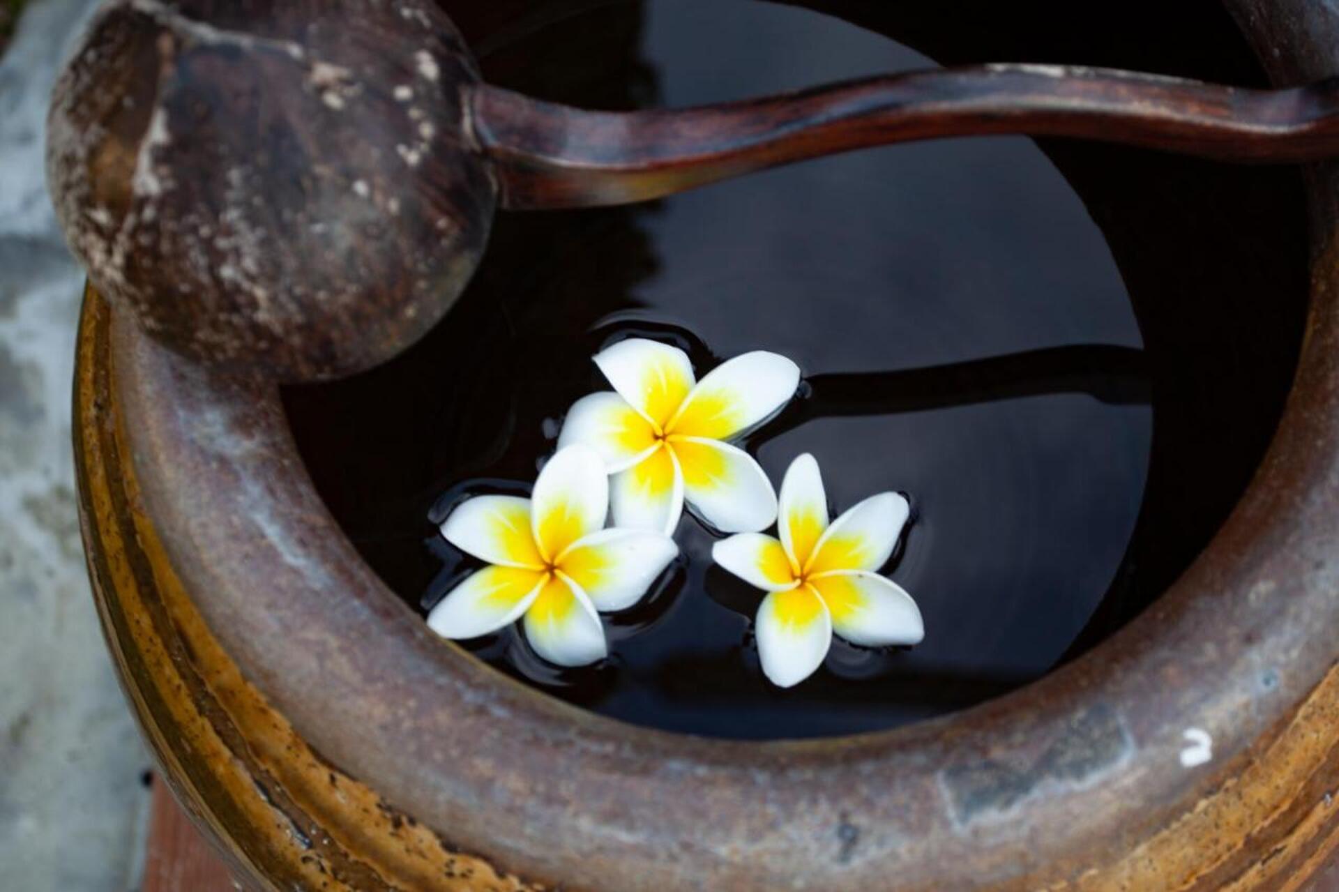 Orchidacea Resort Phuket 42