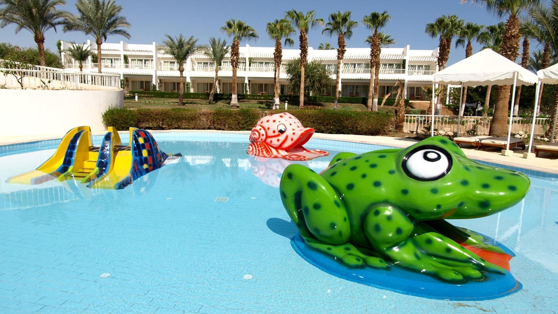 Monte Carlo Sharm Resort & Spa 5* 6