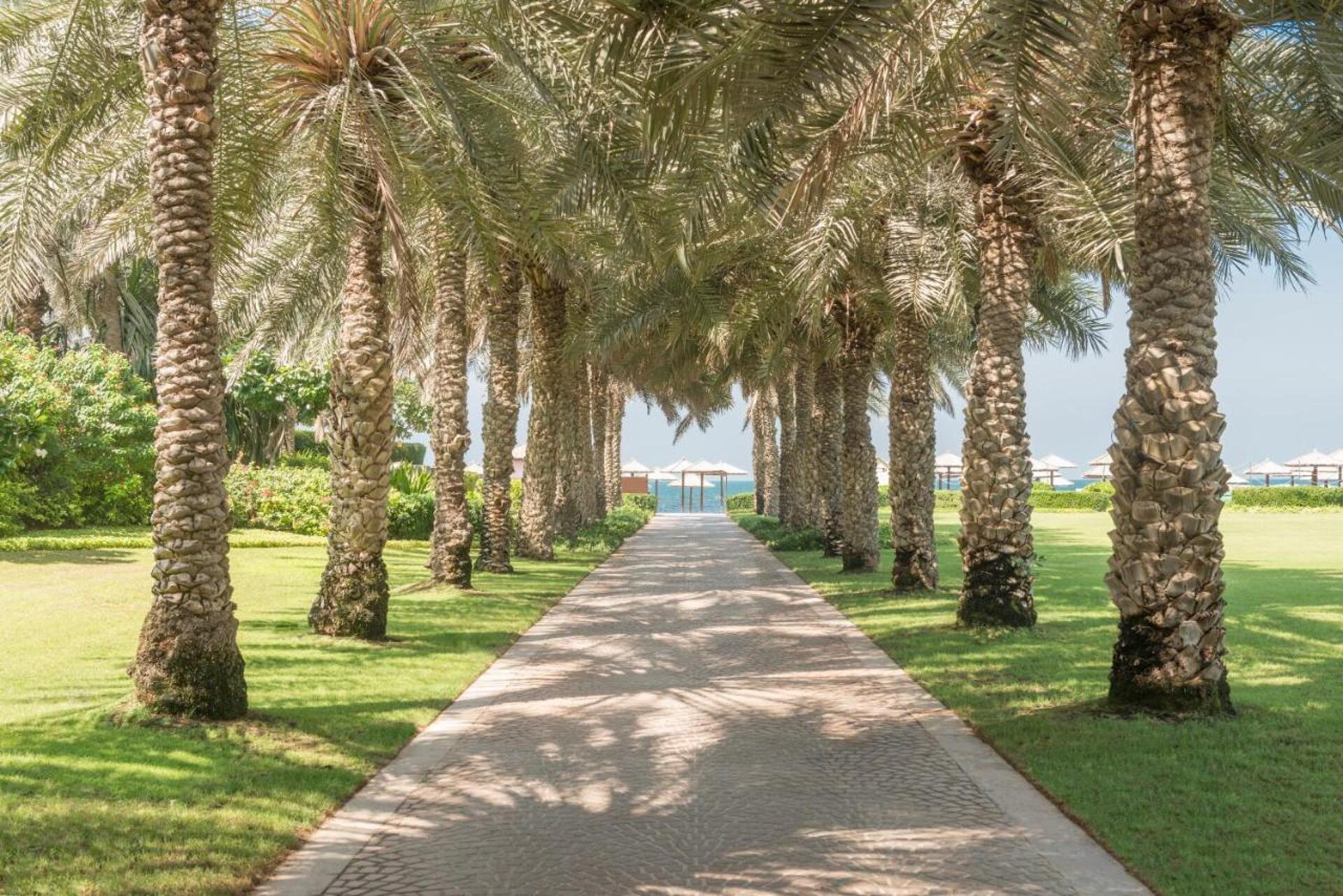 Coral Beach Resort 24