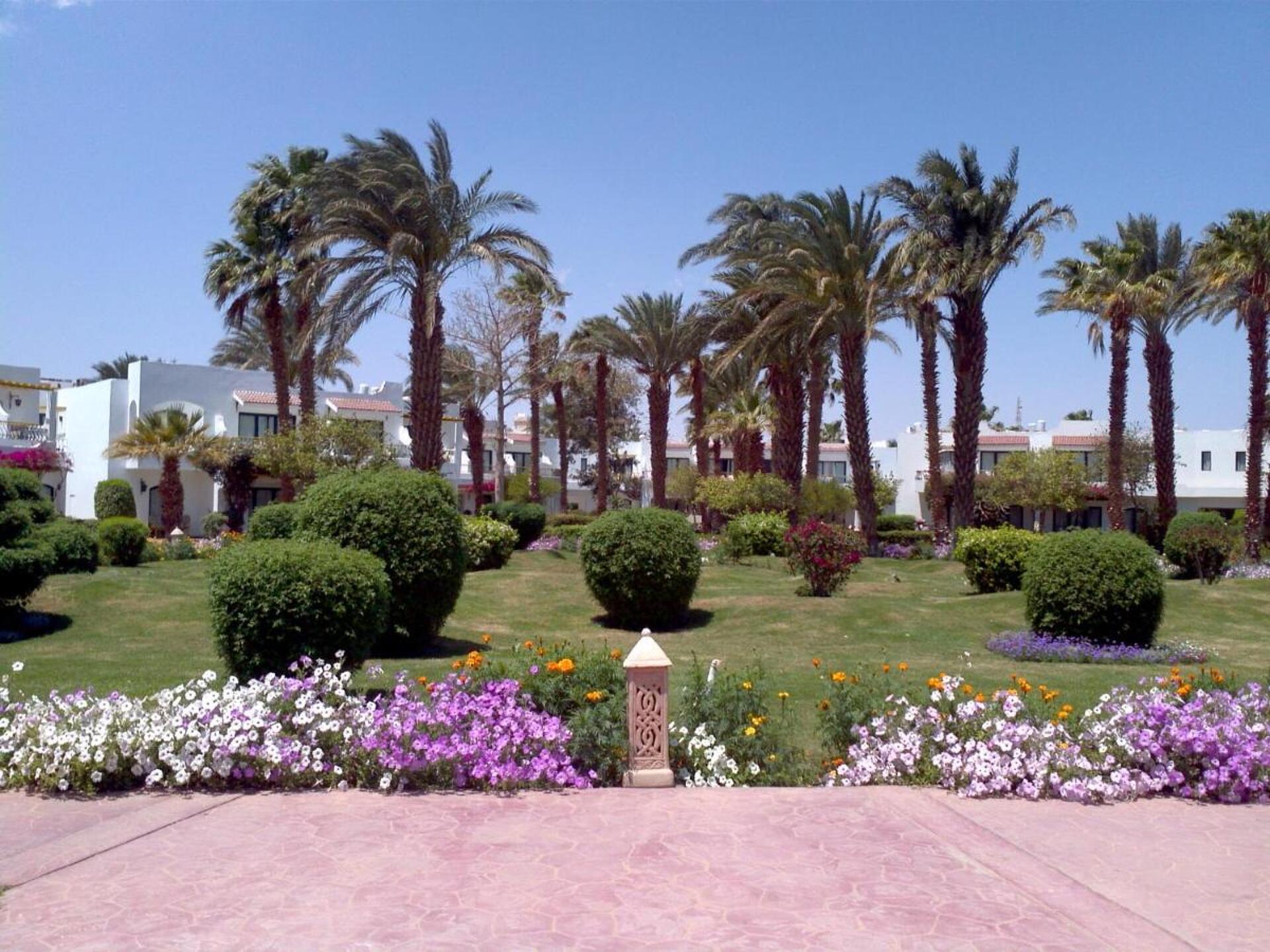 Lotus Bay 4* 19
