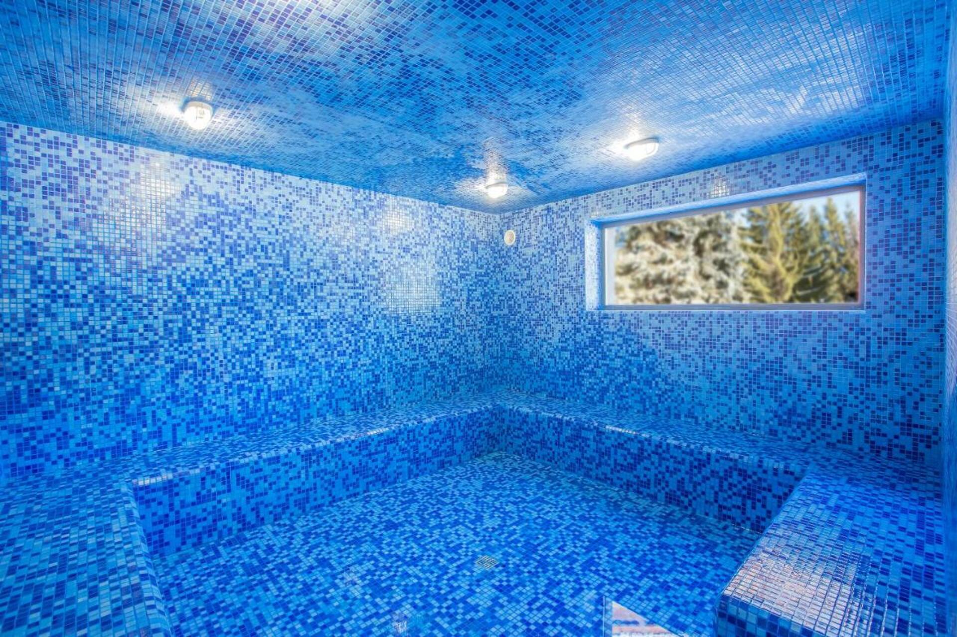 Bakuriani Inn 5* 29
