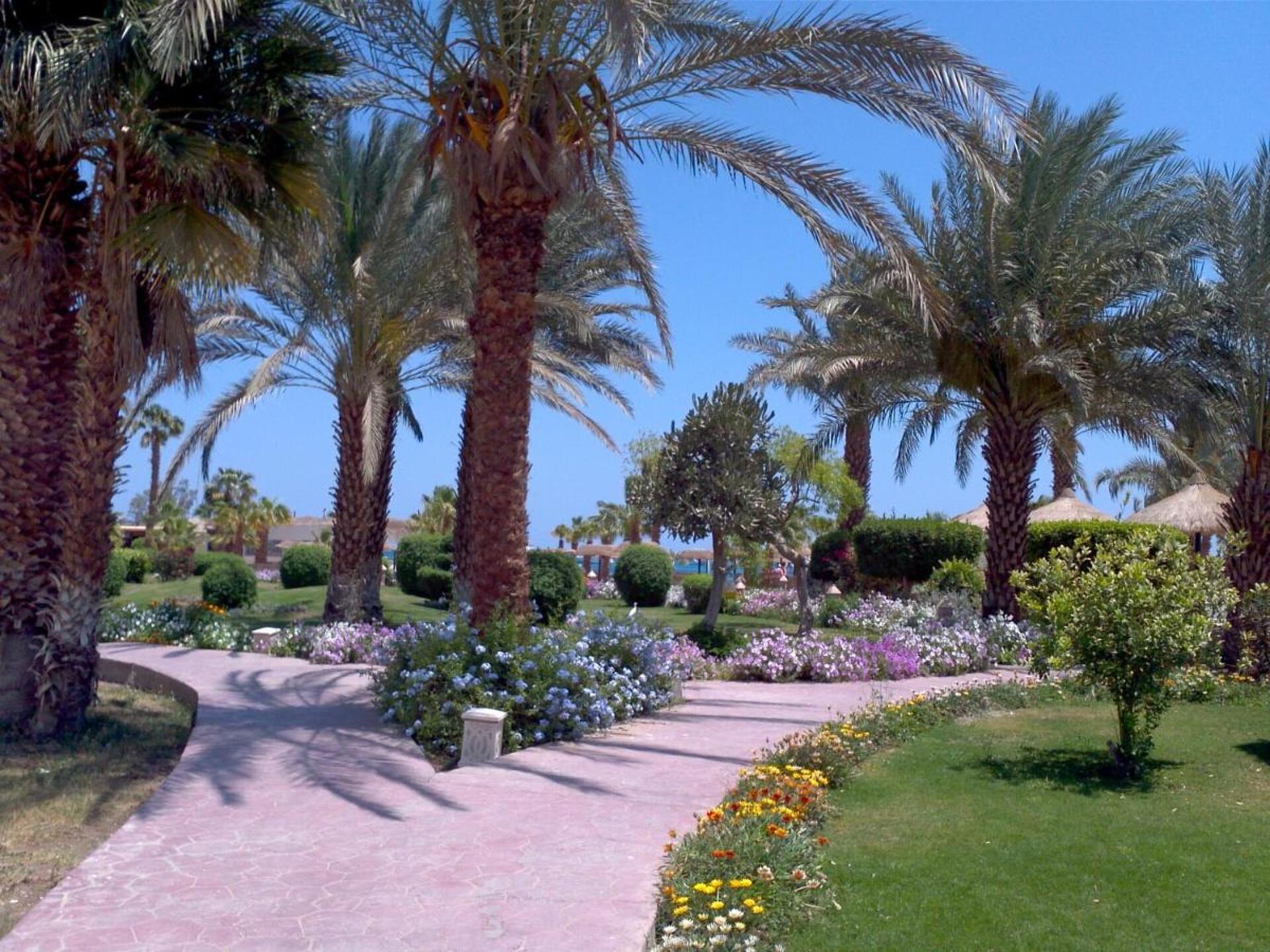 Lotus Bay 4* 18