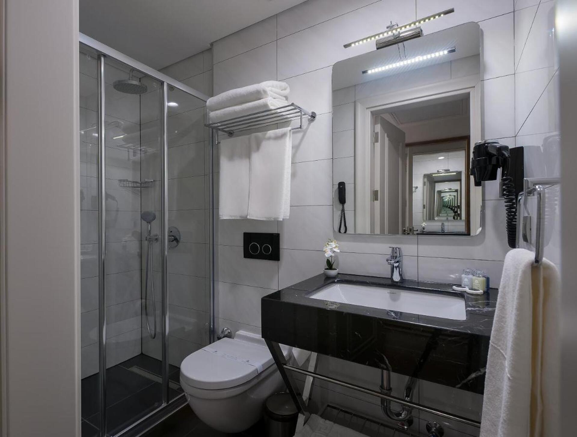 Le Petit Palace Hotel S-Class 36