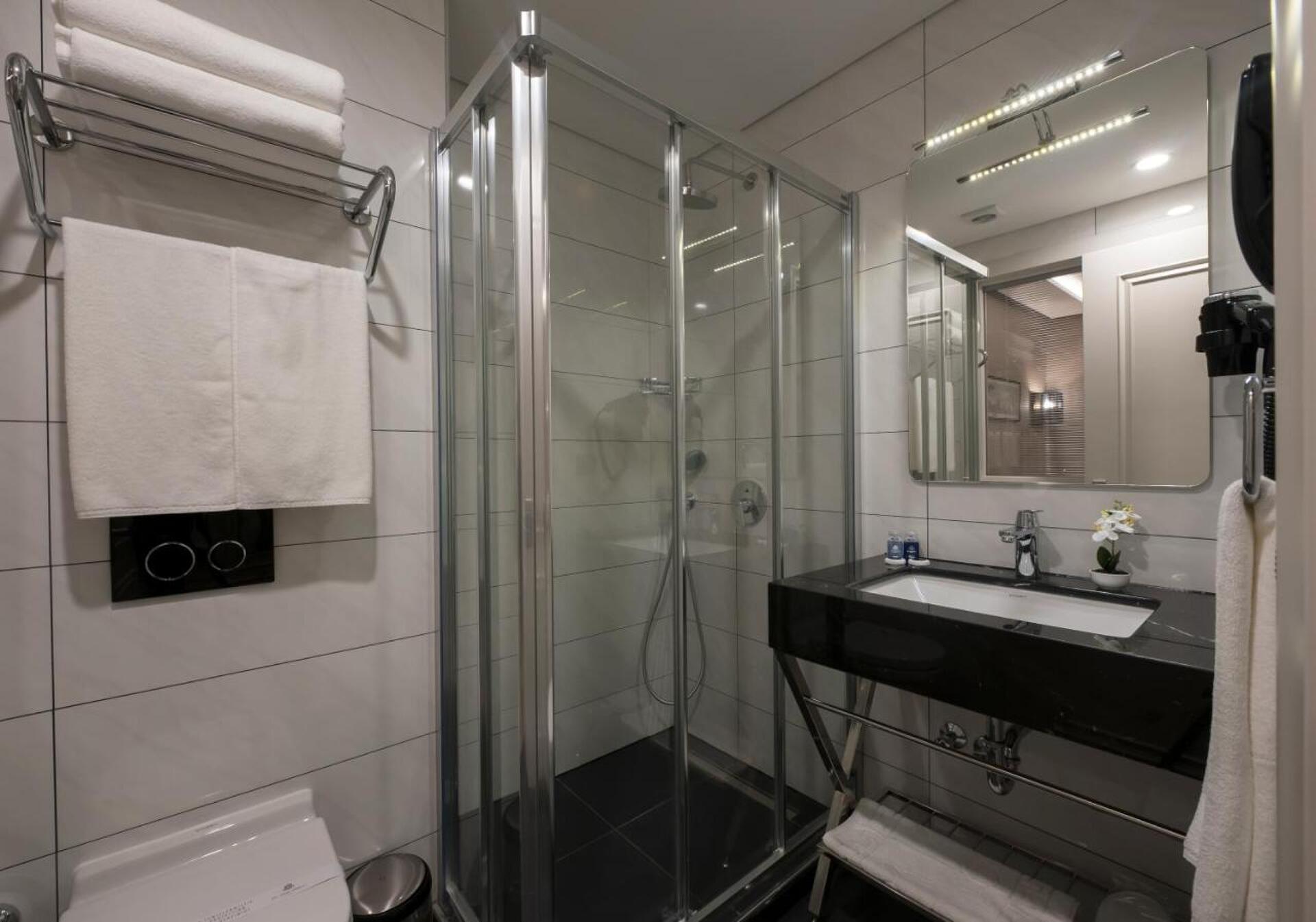 Le Petit Palace Hotel S-Class 35