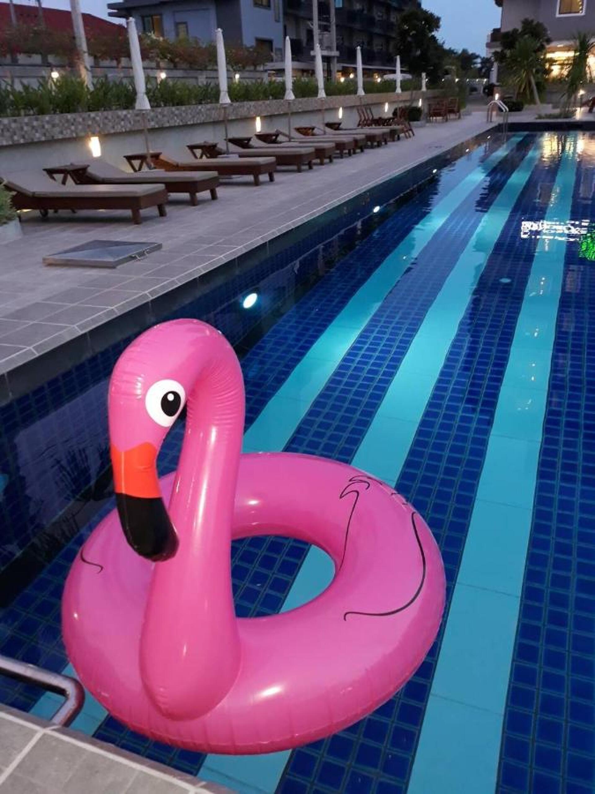 The Mangrove Hotel 4* 10