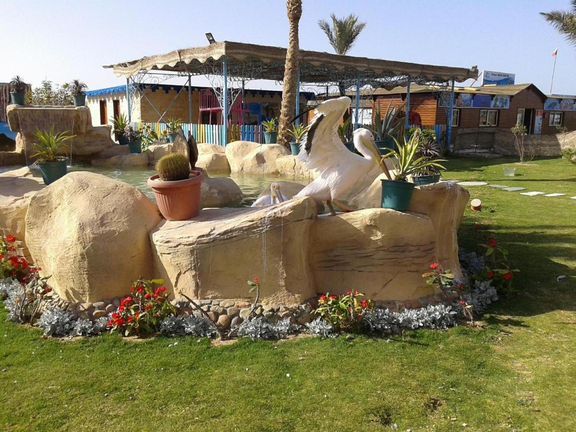 Hawaii Riviera Aqua Park Resort 4* 19