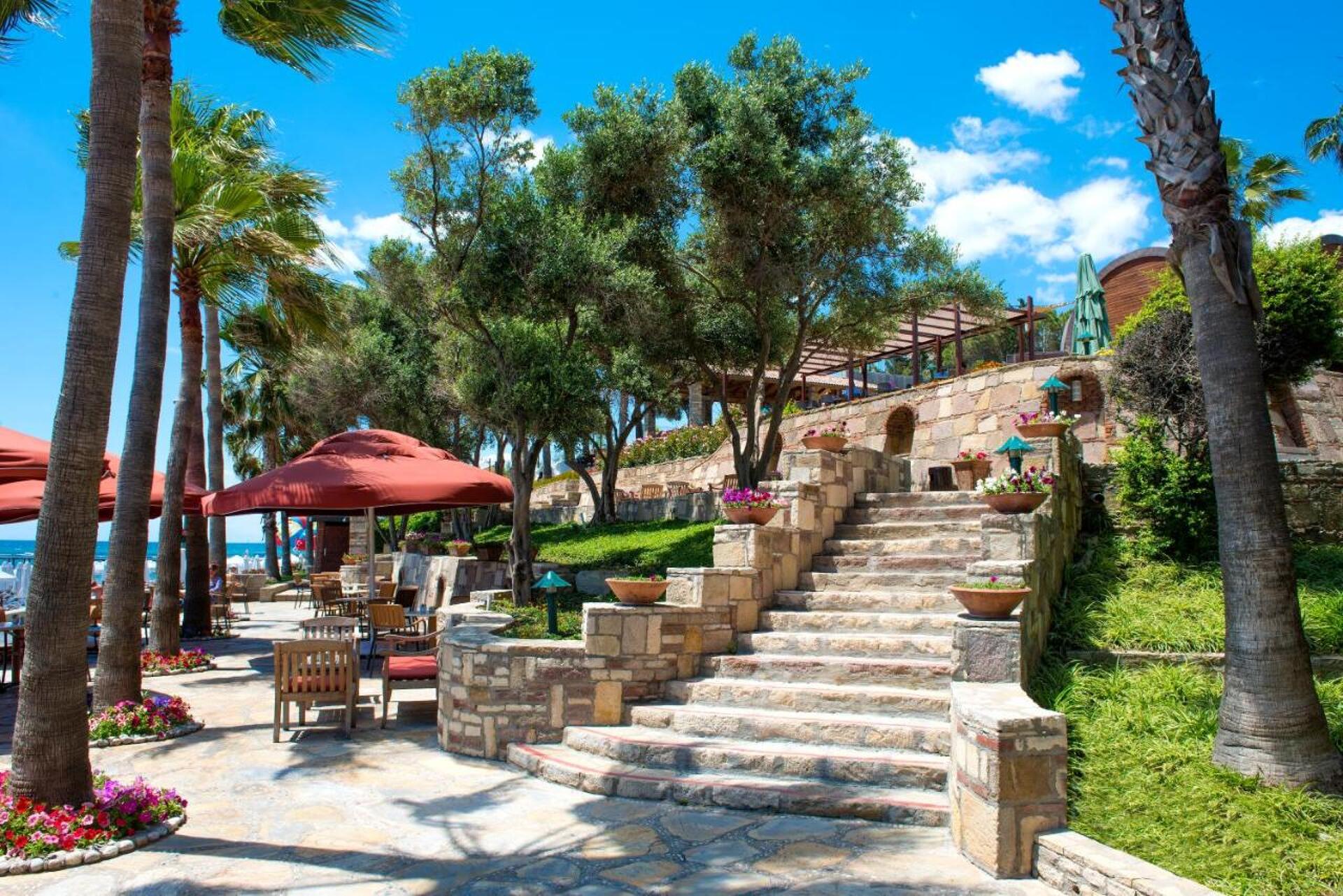 Arum Barut Collection 15