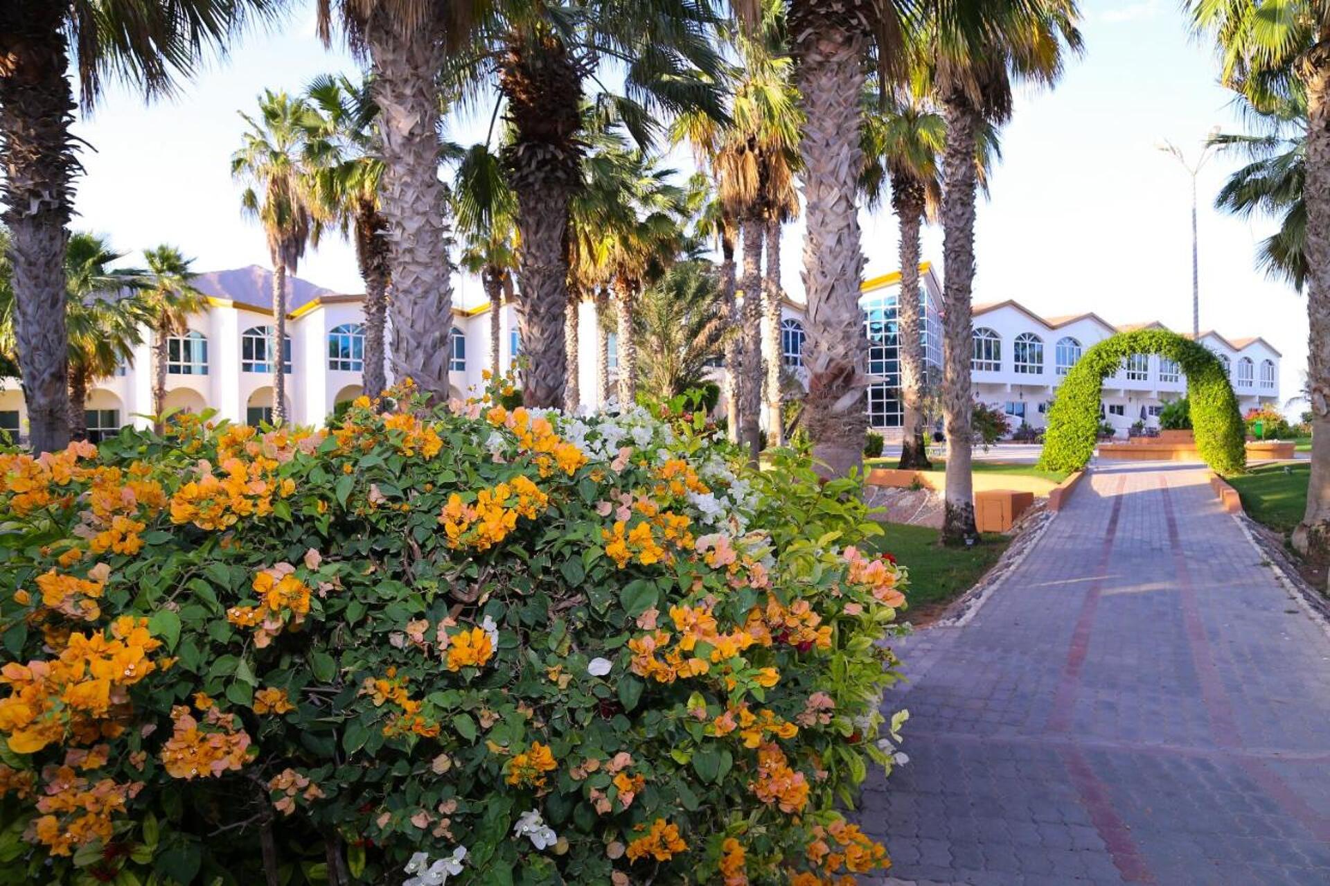 Sandy Beach Hotel & Resort 4* 20