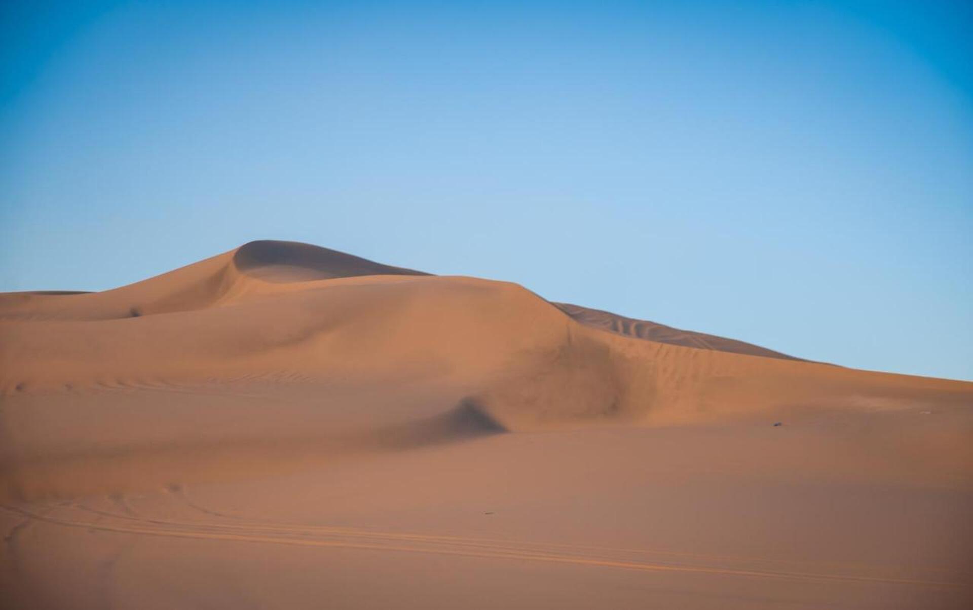 Sealine Beach, a Murwab Resort 33