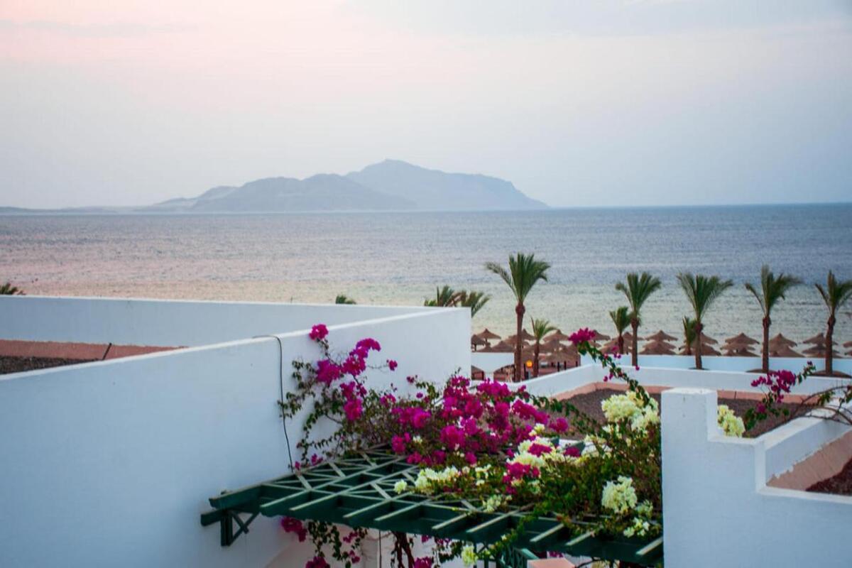 Coral Beach Resort Montazah 4* 3