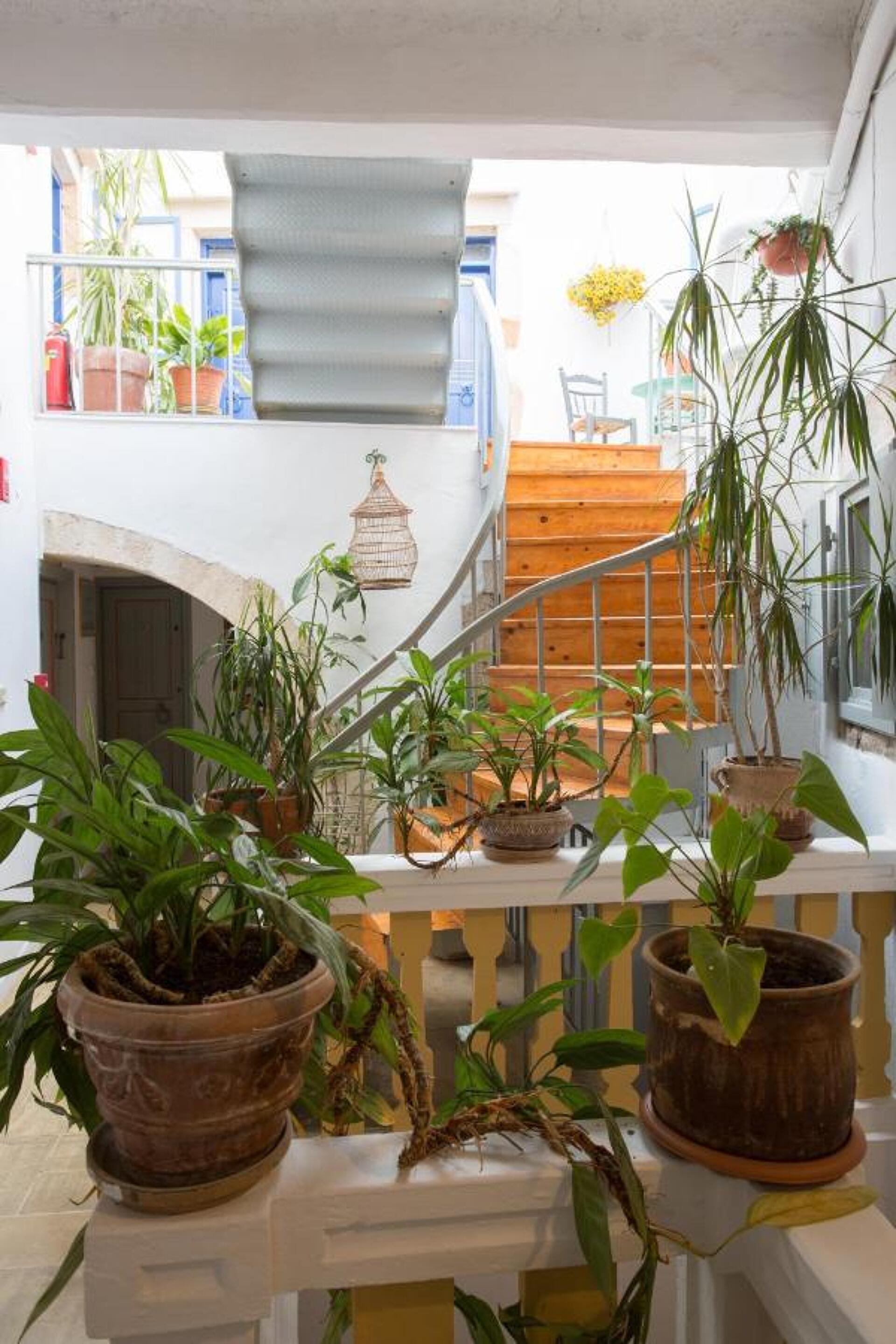 Nostos Hotel 3* 12