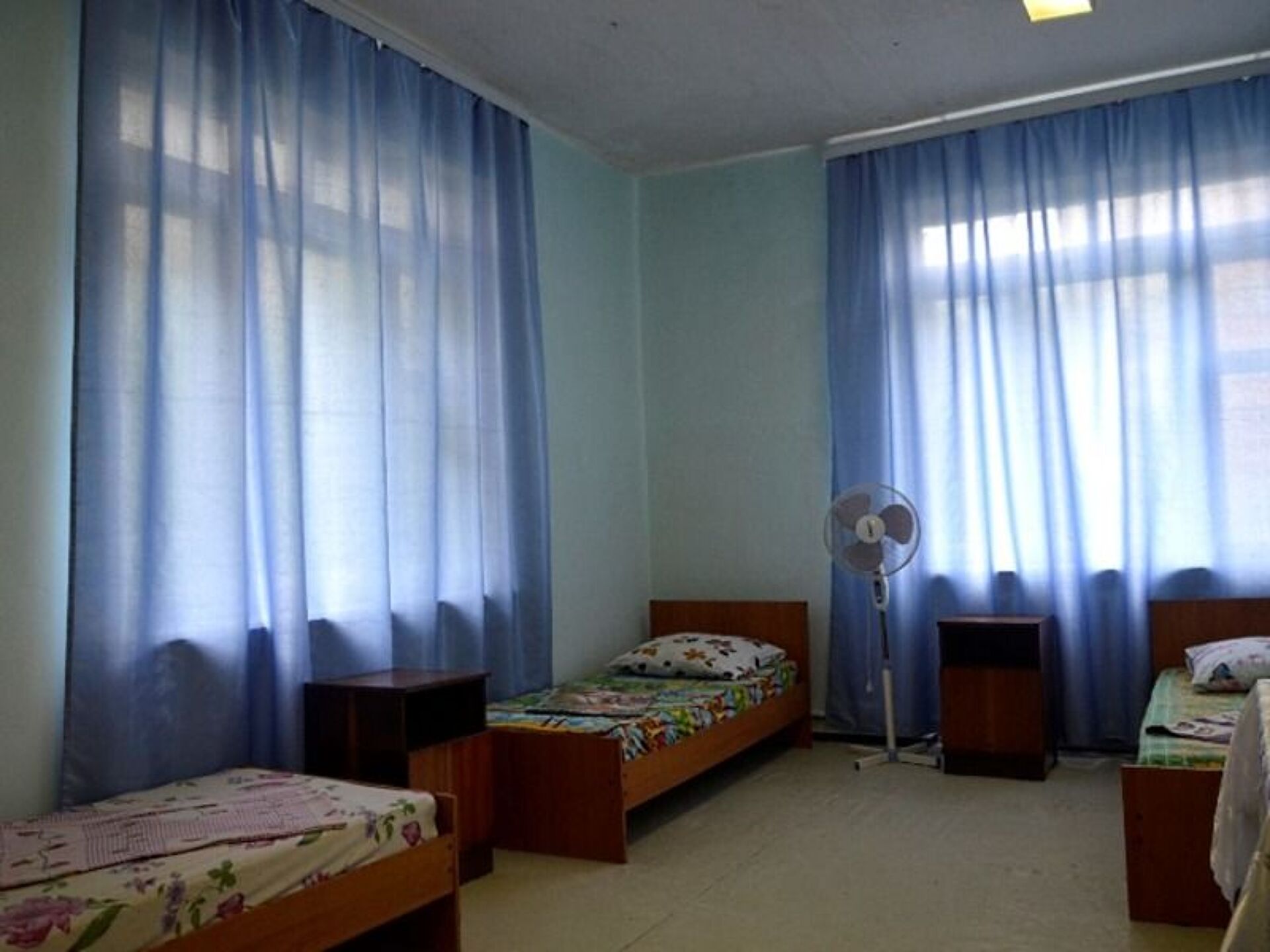 Дельфин 7