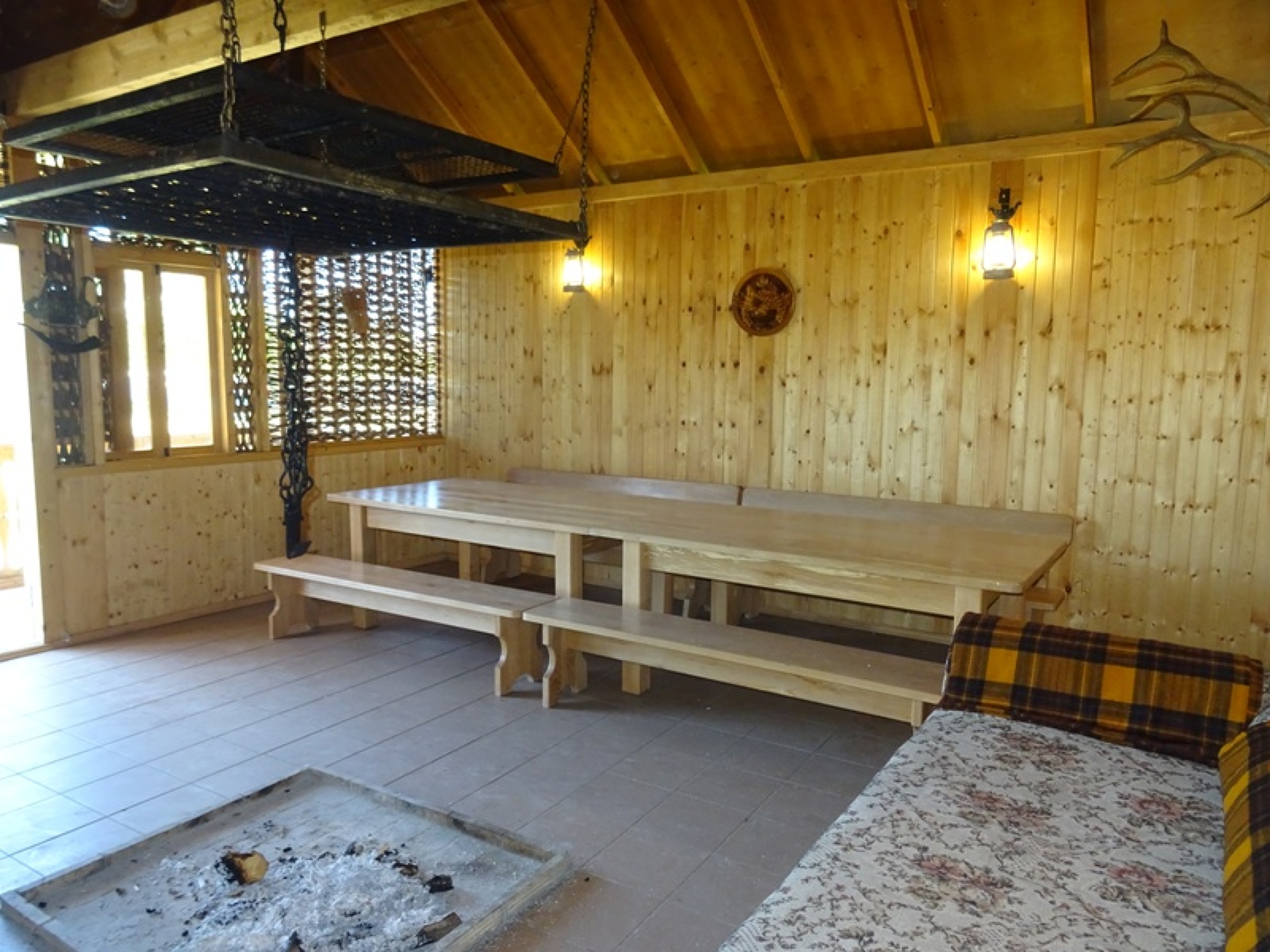 Кипарис 24