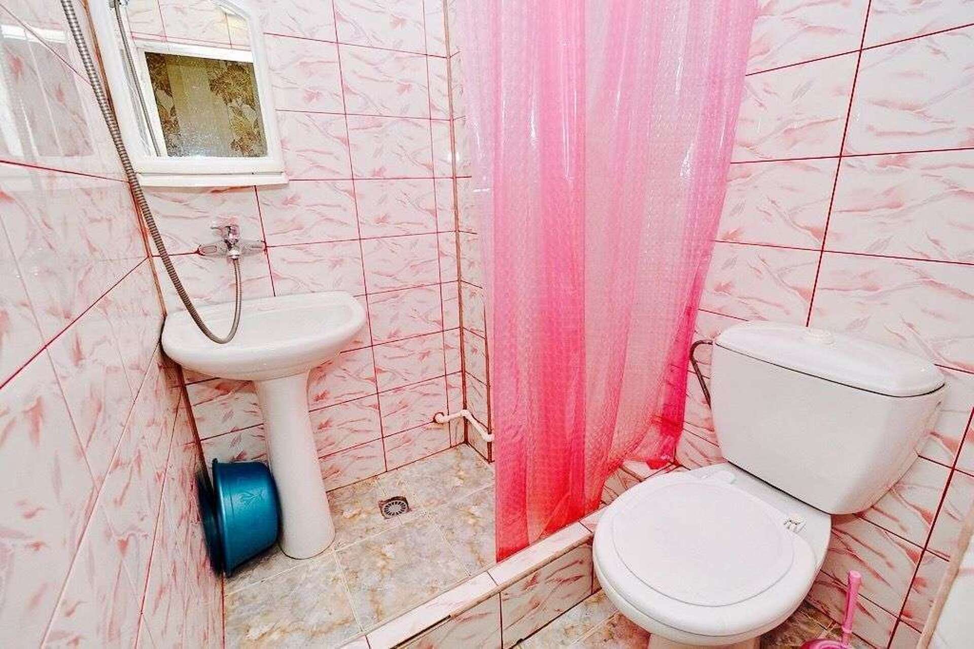 Диана 19