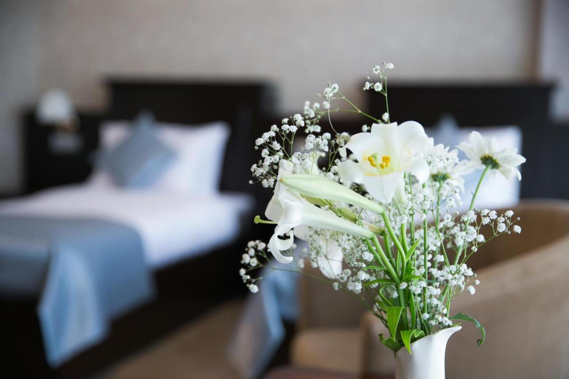 Regnum Hotel Baku 3* 15