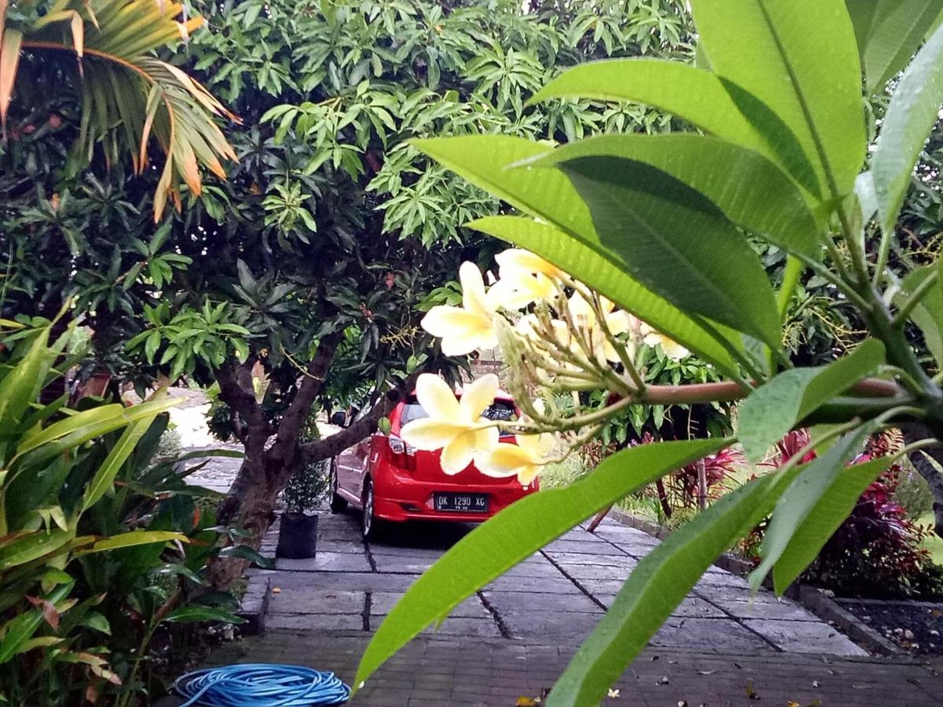 Mulia Home Stay 2* 24