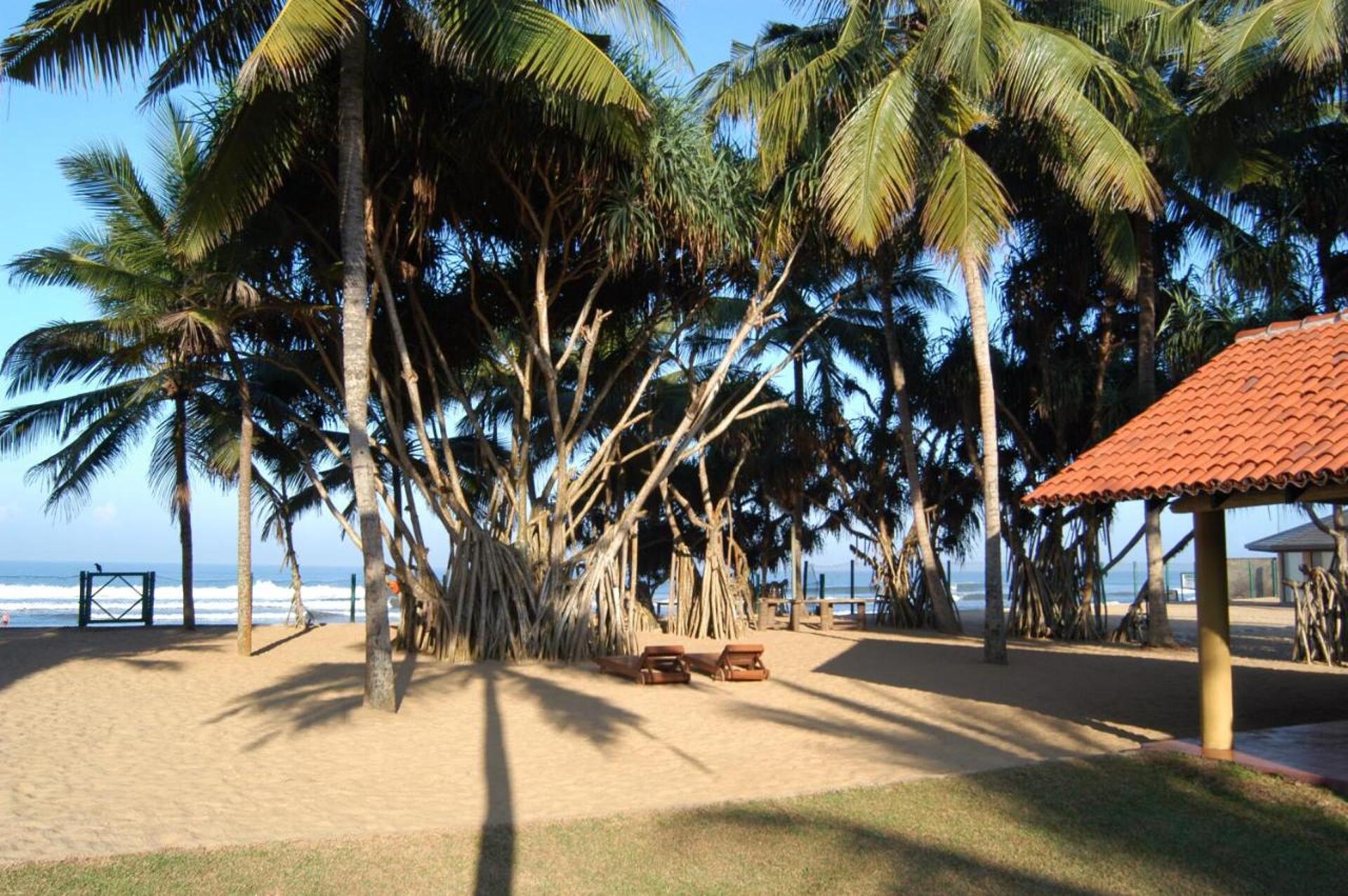 Hibiscus Beach Hotel 4* 5