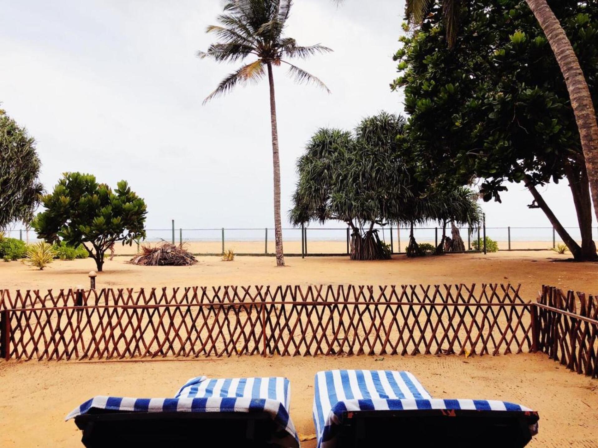 Hibiscus Beach Hotel 4* 21