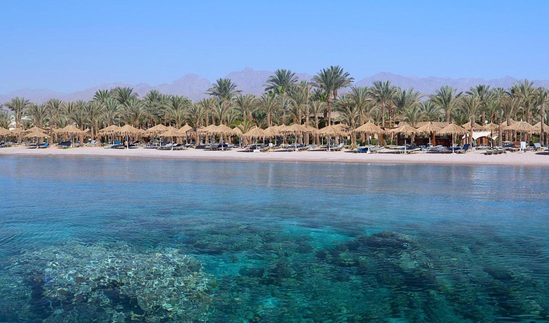 Jaz Sharm Dreams 5* 35