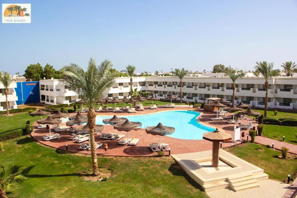 Viva Sharm Hotel  3* 0