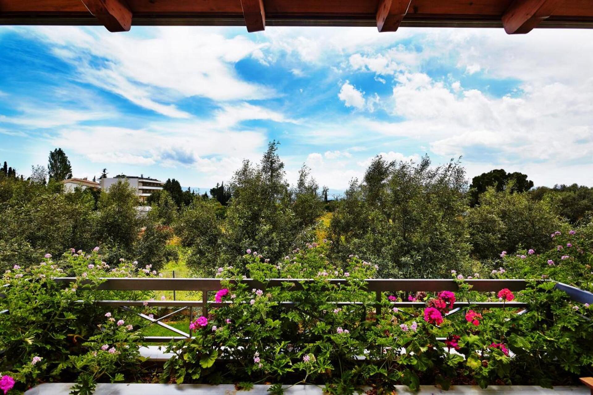 Miramare Eretria 37