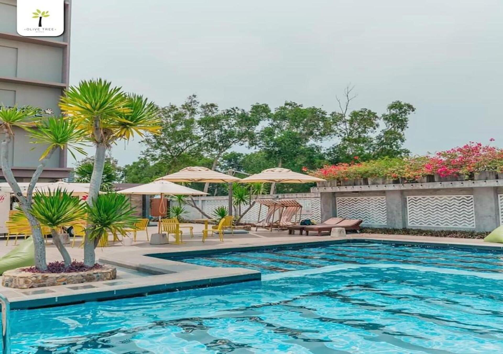 Olive Tree Hotel 20